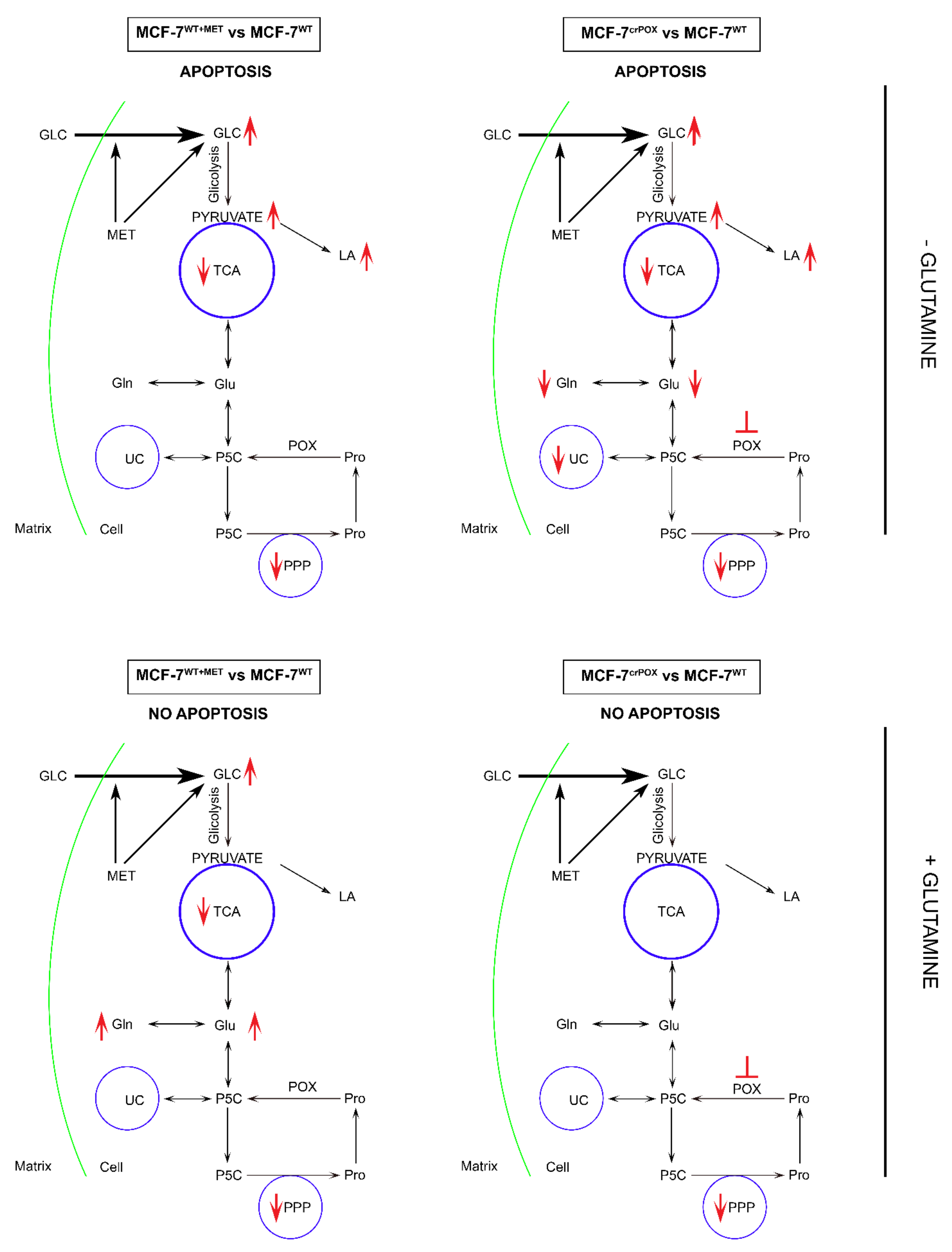 Biomolecules 11 01888 g003