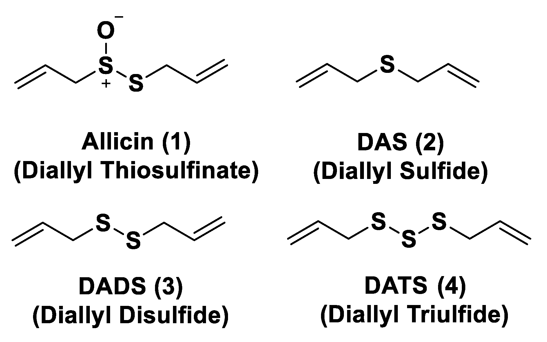 Biomolecules 11 01899 g004 Biomolecules 11 01899 g004