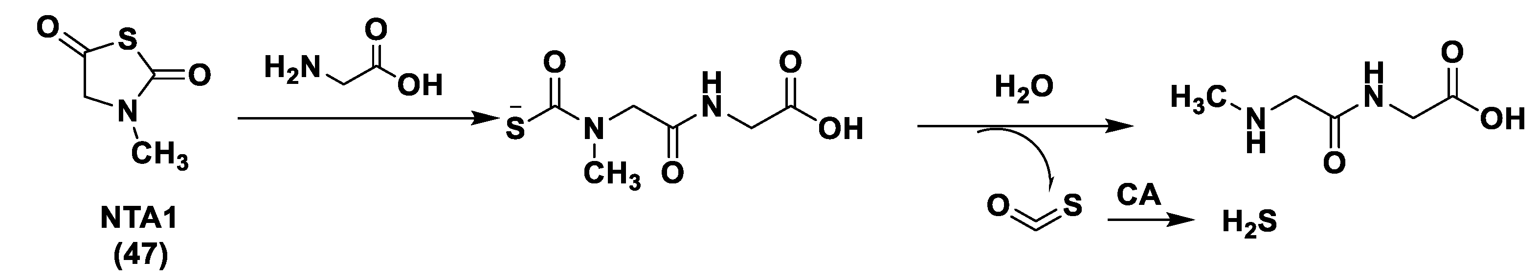 Biomolecules 11 01899 g024 Biomolecules 11 01899 g024