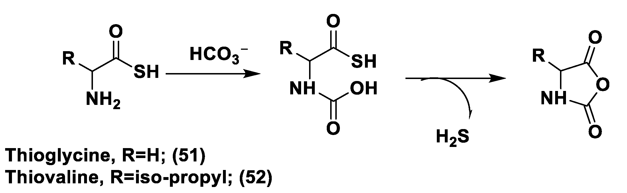 Biomolecules 11 01899 g028 Biomolecules 11 01899 g028
