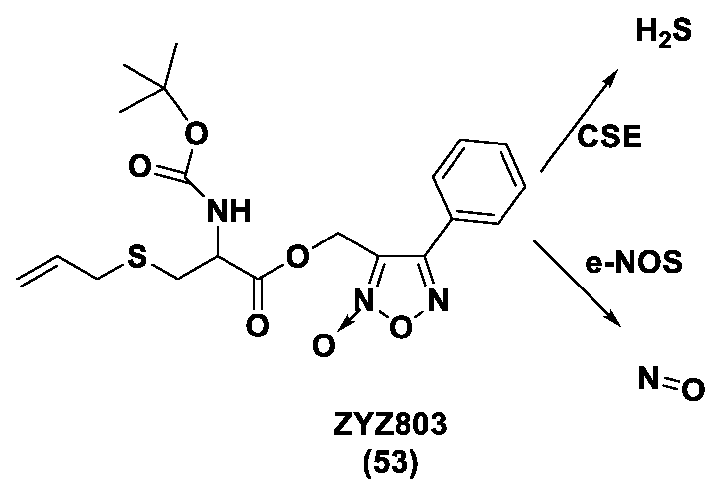 Biomolecules 11 01899 g030 Biomolecules 11 01899 g030