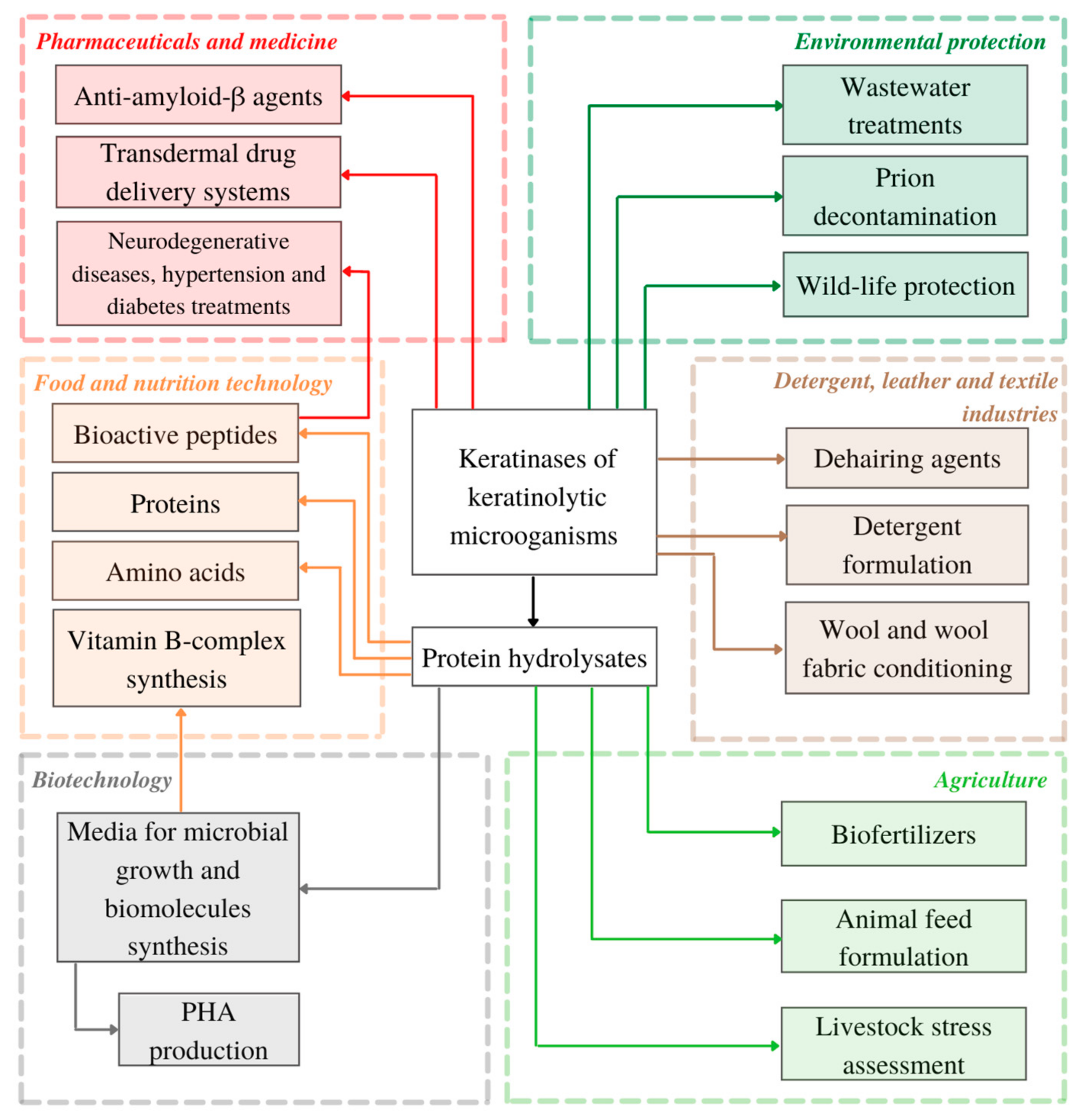 Biomolecules 11 01900 g002