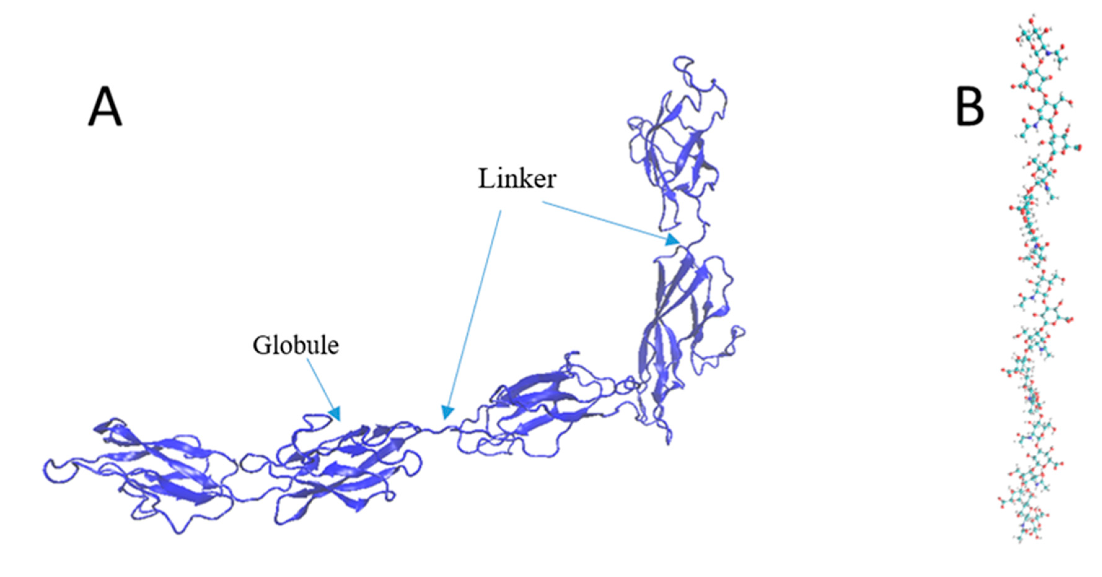 Biomolecules 12 00010 g003