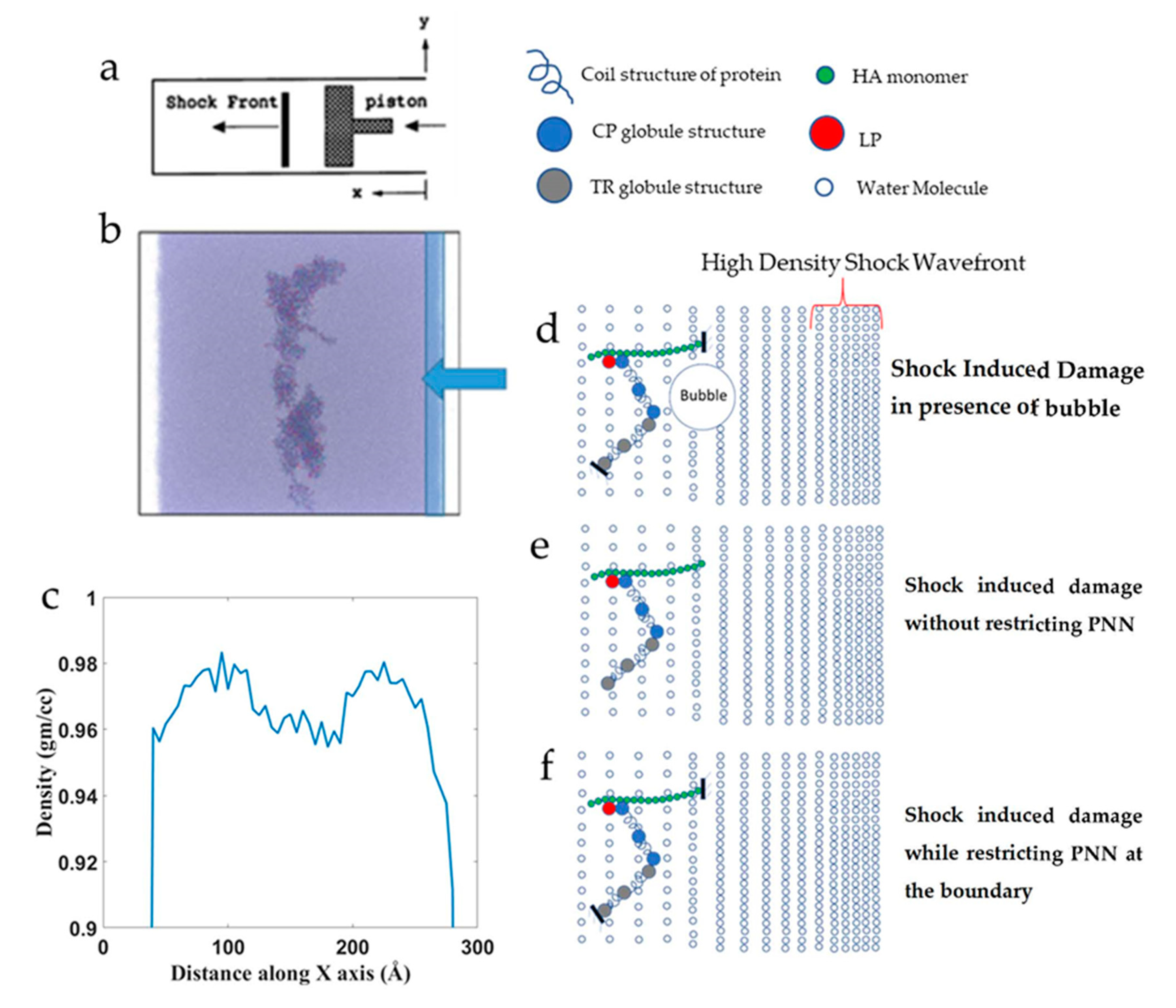 Biomolecules 12 00010 g004