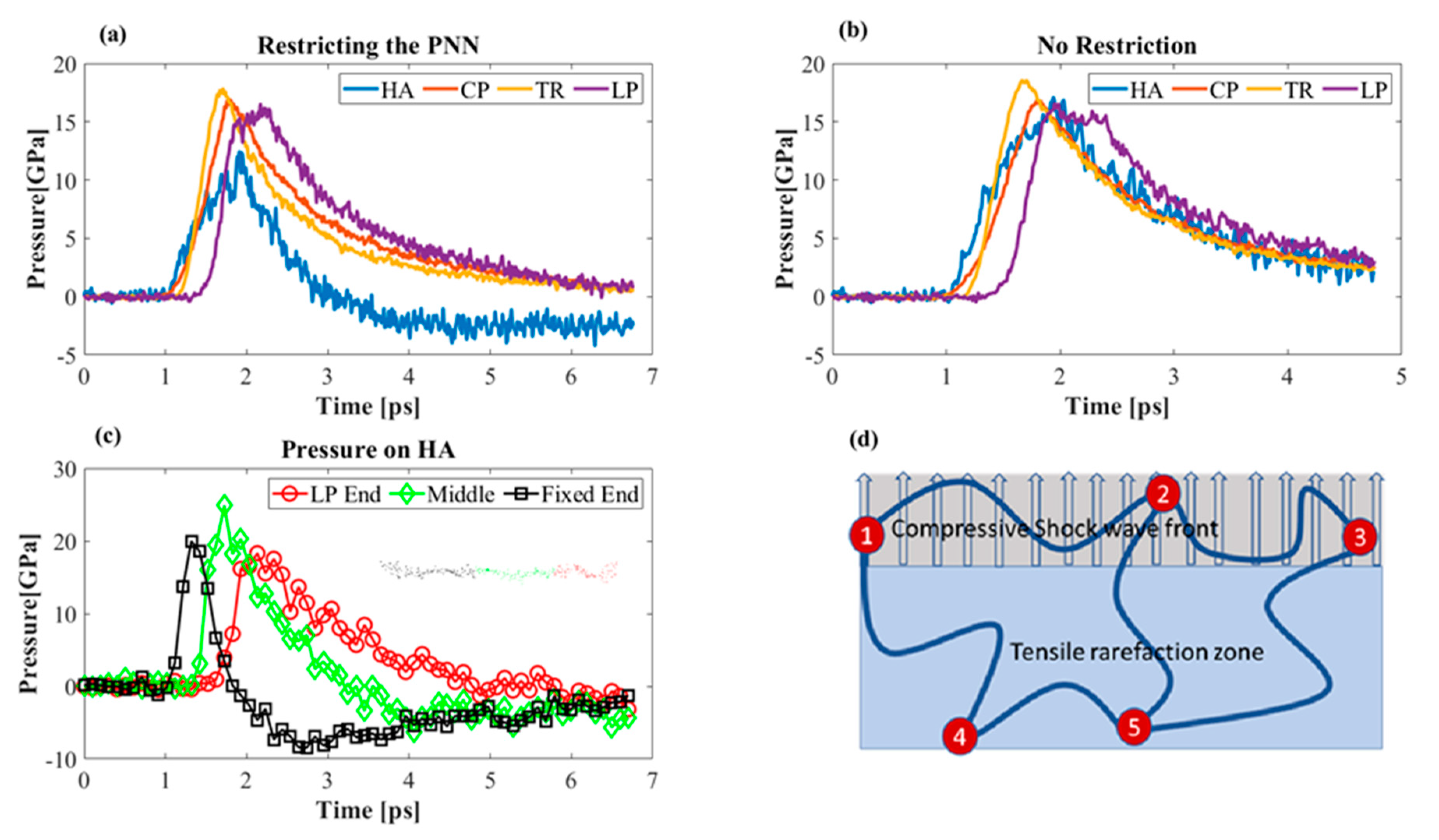Biomolecules 12 00010 g010