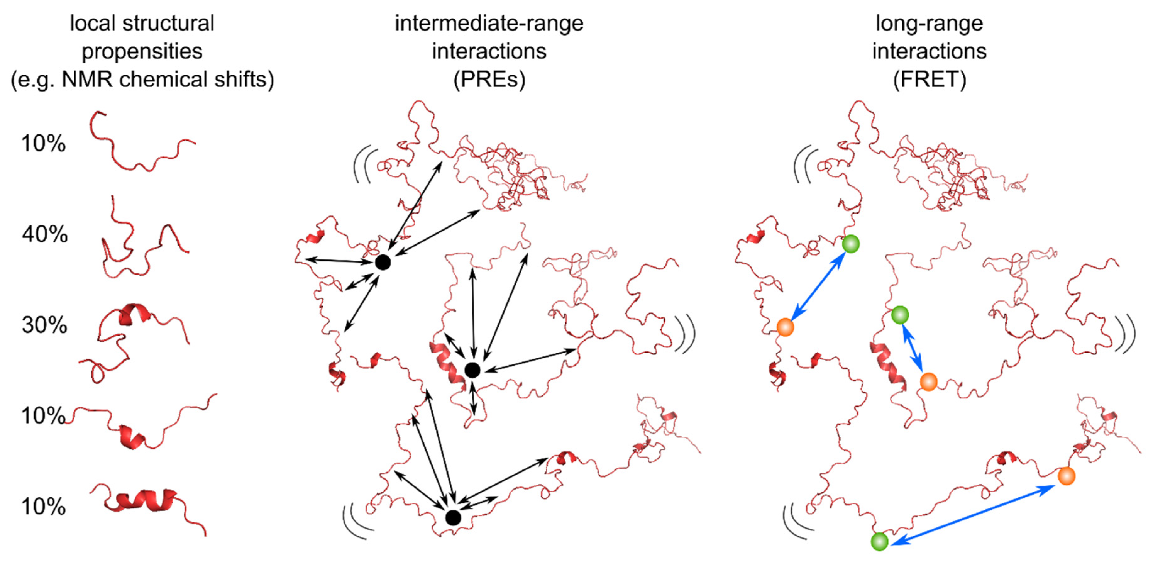 Biomolecules 12 00027 g004 Biomolecules 12 00027 g004