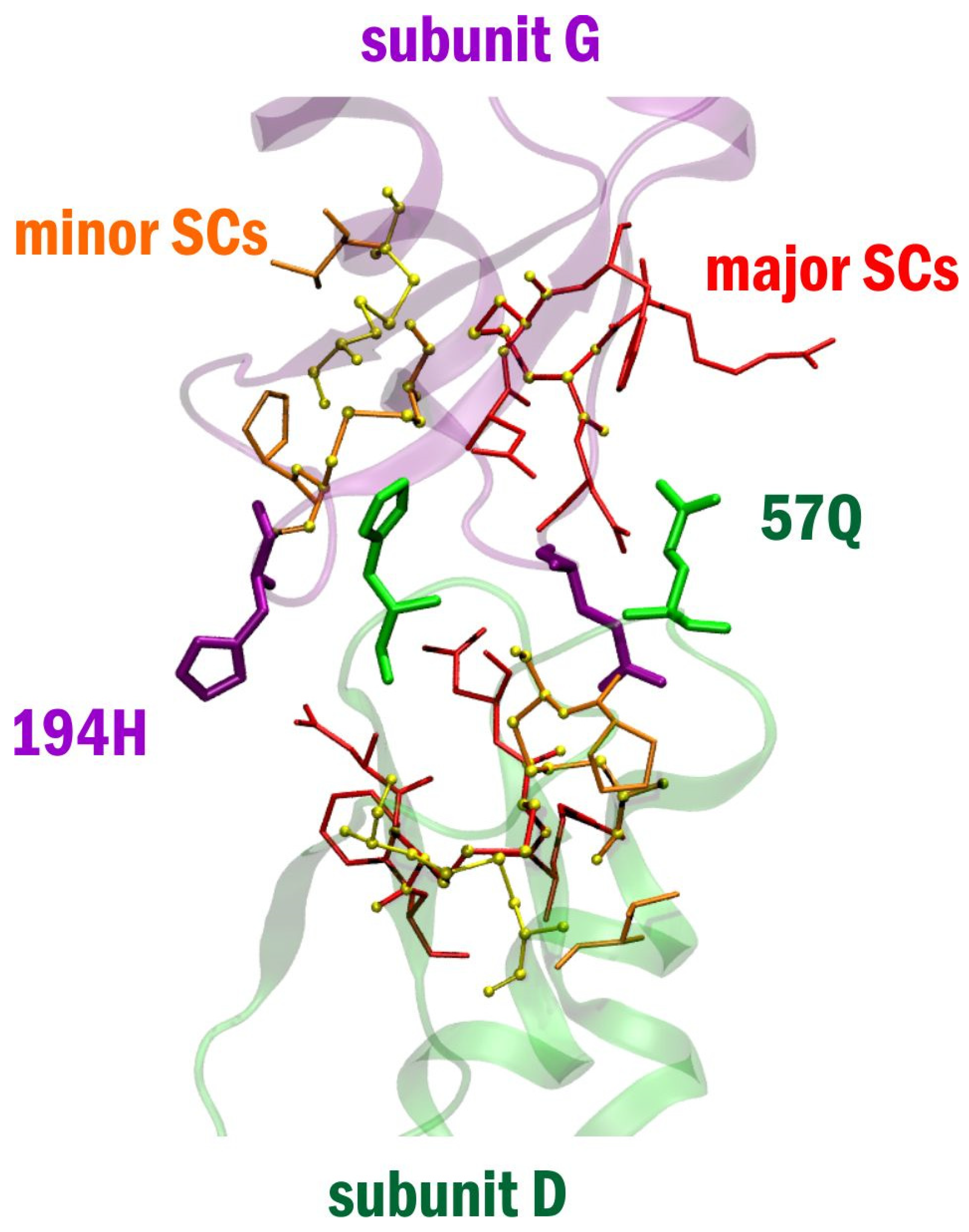 Biomolecules 12 00049 g003 Biomolecules 12 00049 g003