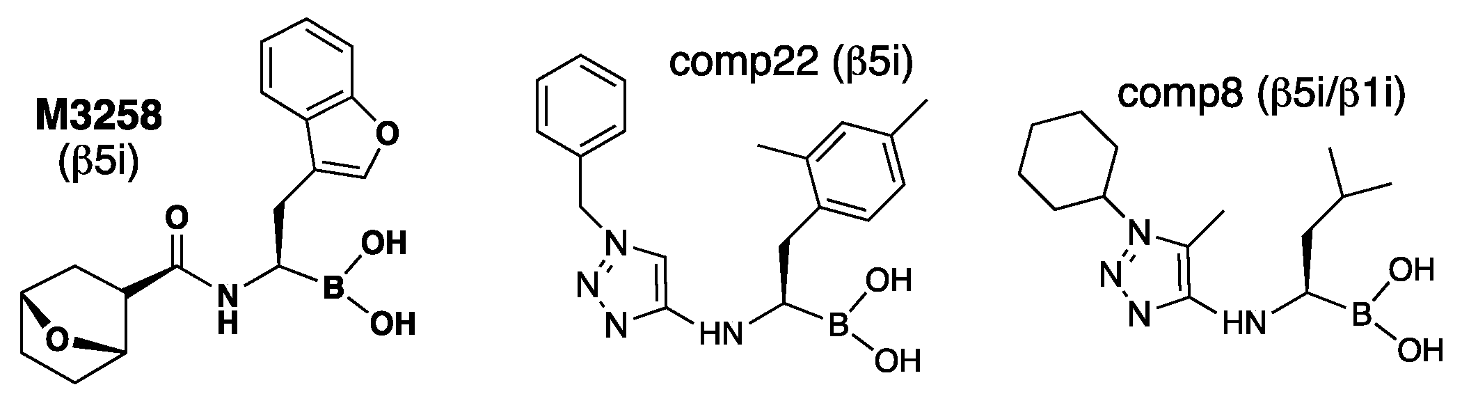 Biomolecules 12 00054 g005 Biomolecules 12 00054 g005