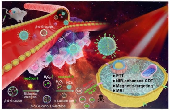 Biomolecules | Free Full-Text | Recent Advances in Strategies for 