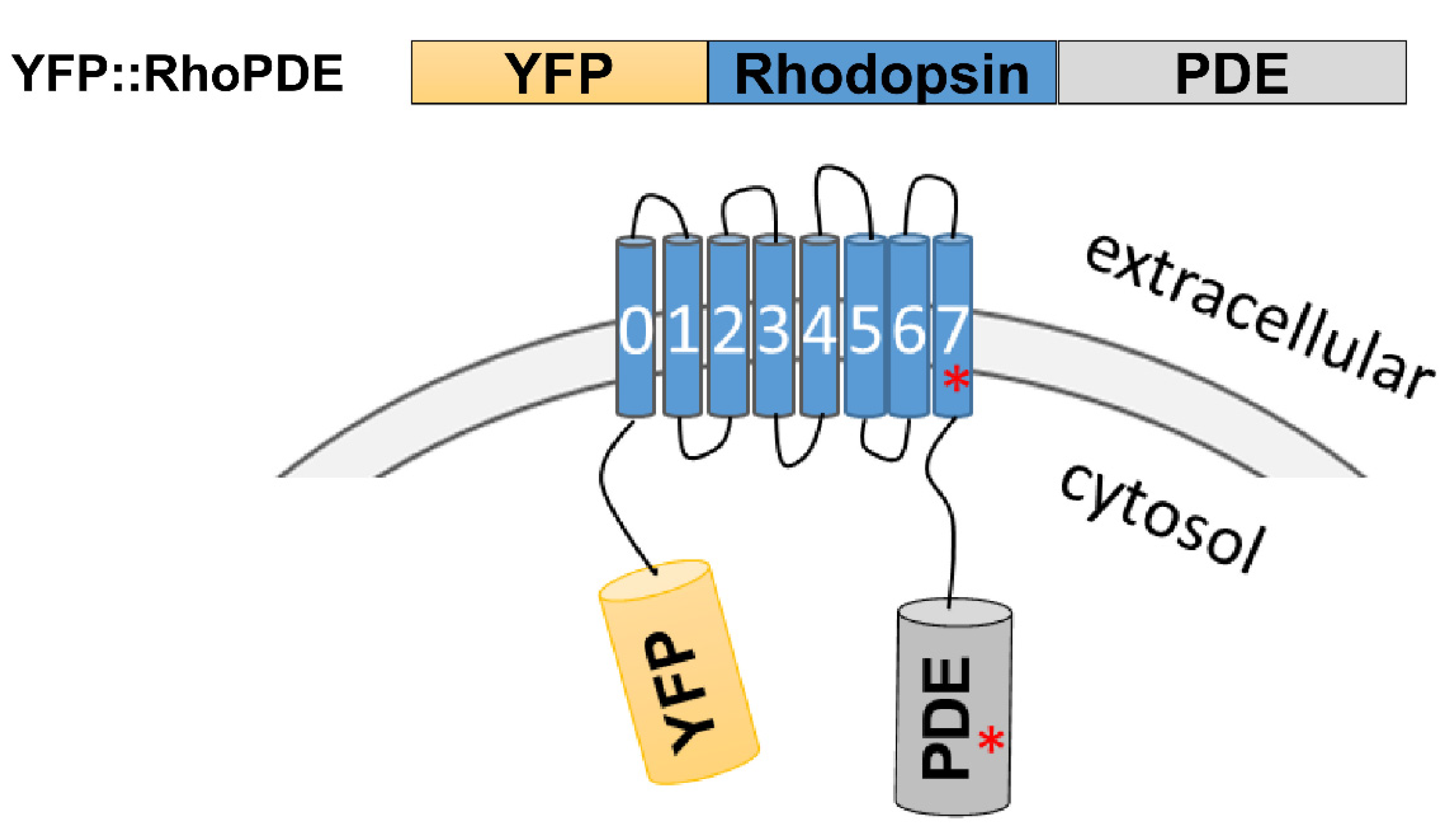 Biomolecules 12 00088 g001