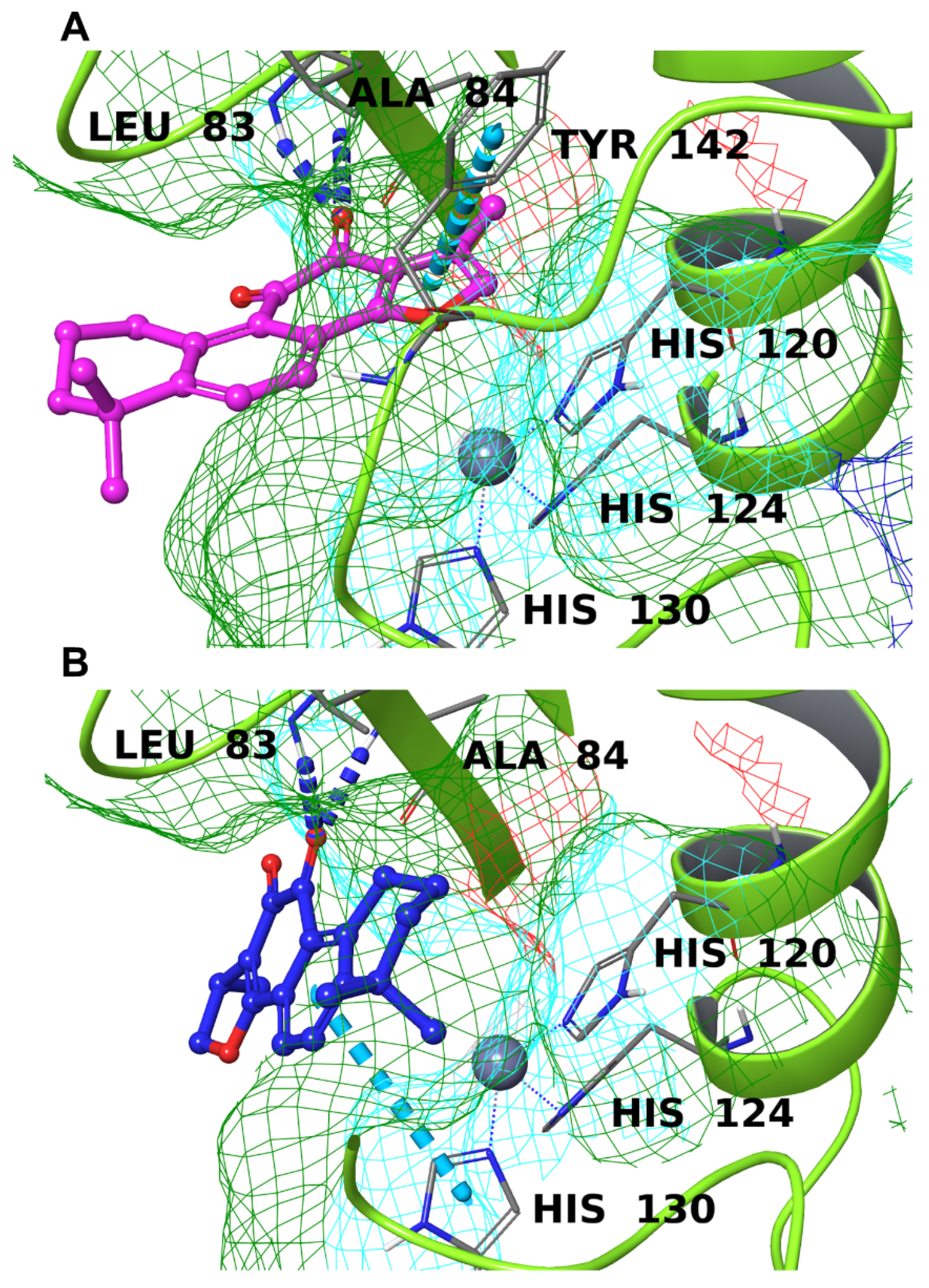 Biomolecules 12 00099 g011 Biomolecules 12 00099 g011