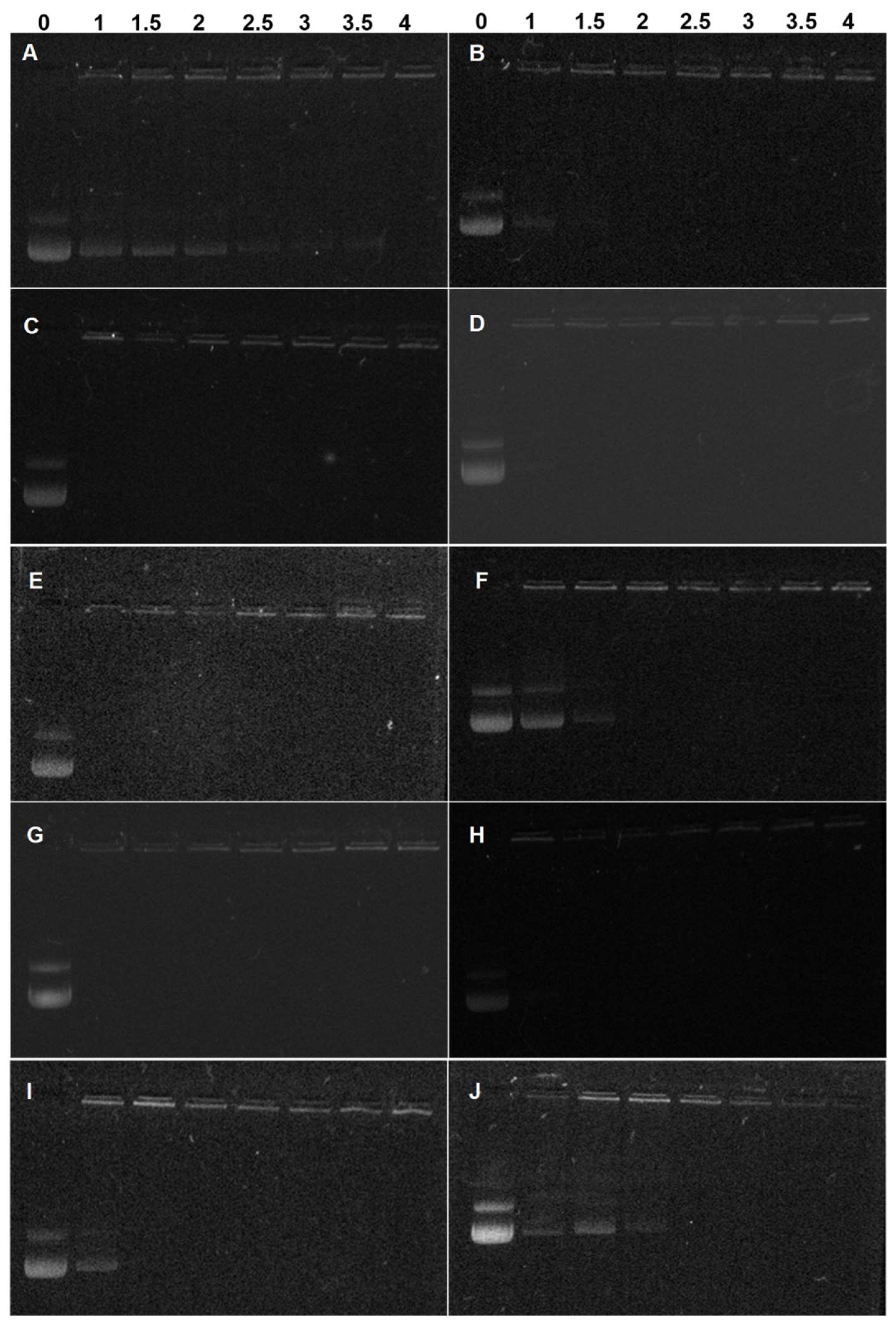 Biomolecules 12 00102 g004