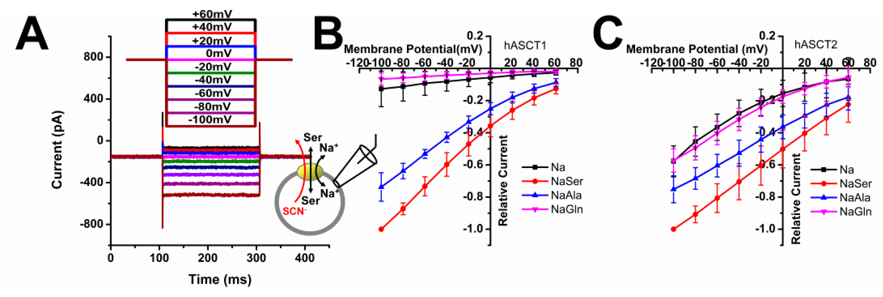 Biomolecules 12 00113 g002 Biomolecules 12 00113 g002
