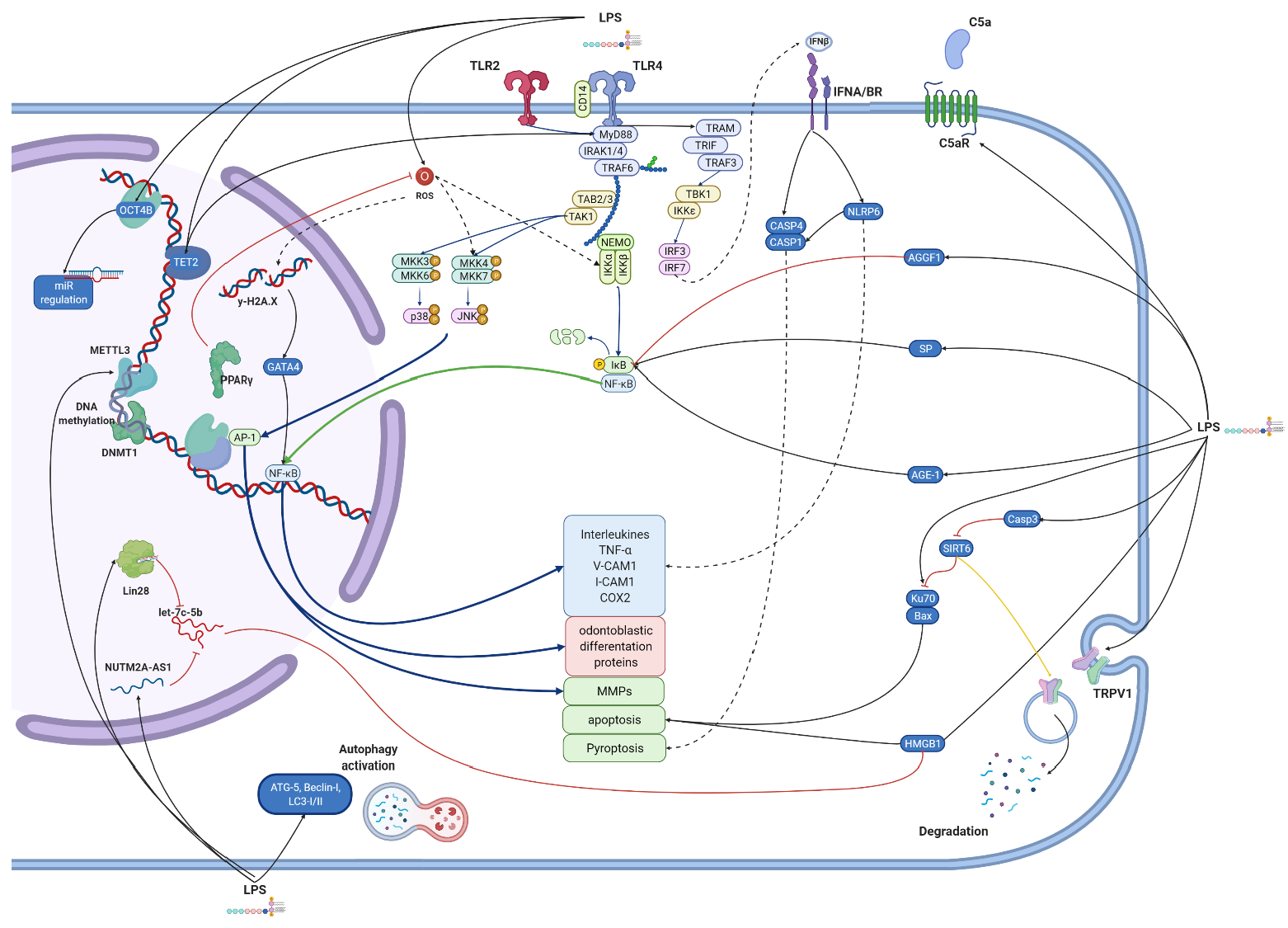 Biomolecules 12 00138 g003 Biomolecules 12 00138 g003