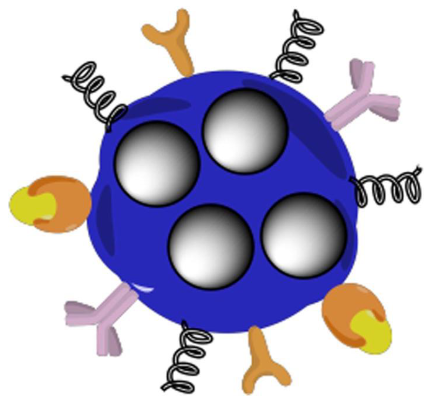 Biomolecules 12 00141 g002
