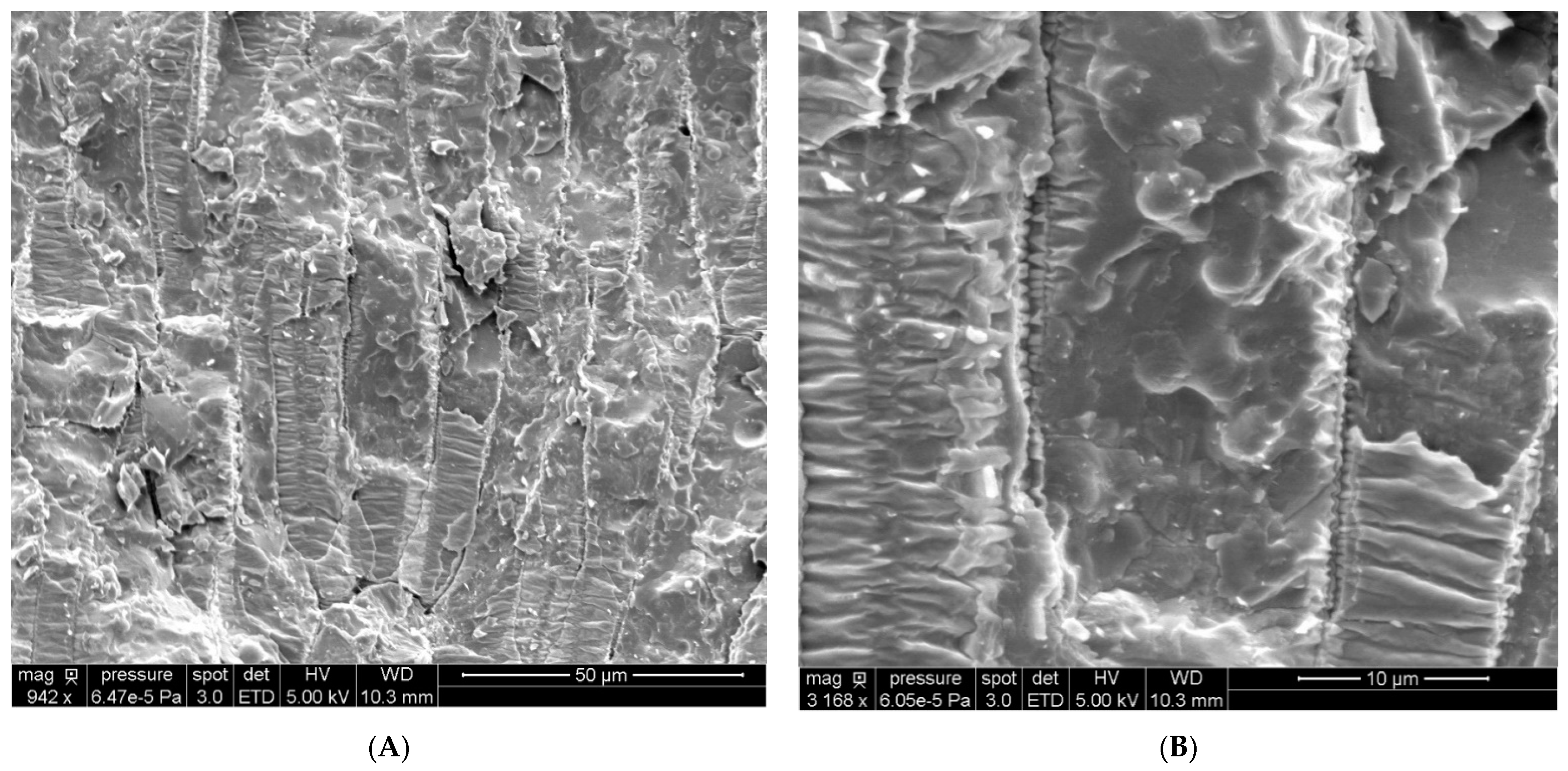 Biomolecules 12 00149 g002