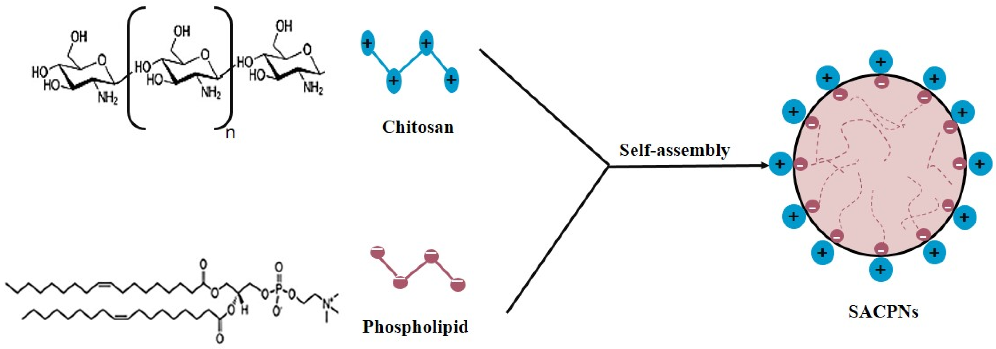 Biomolecules 12 00155 g004