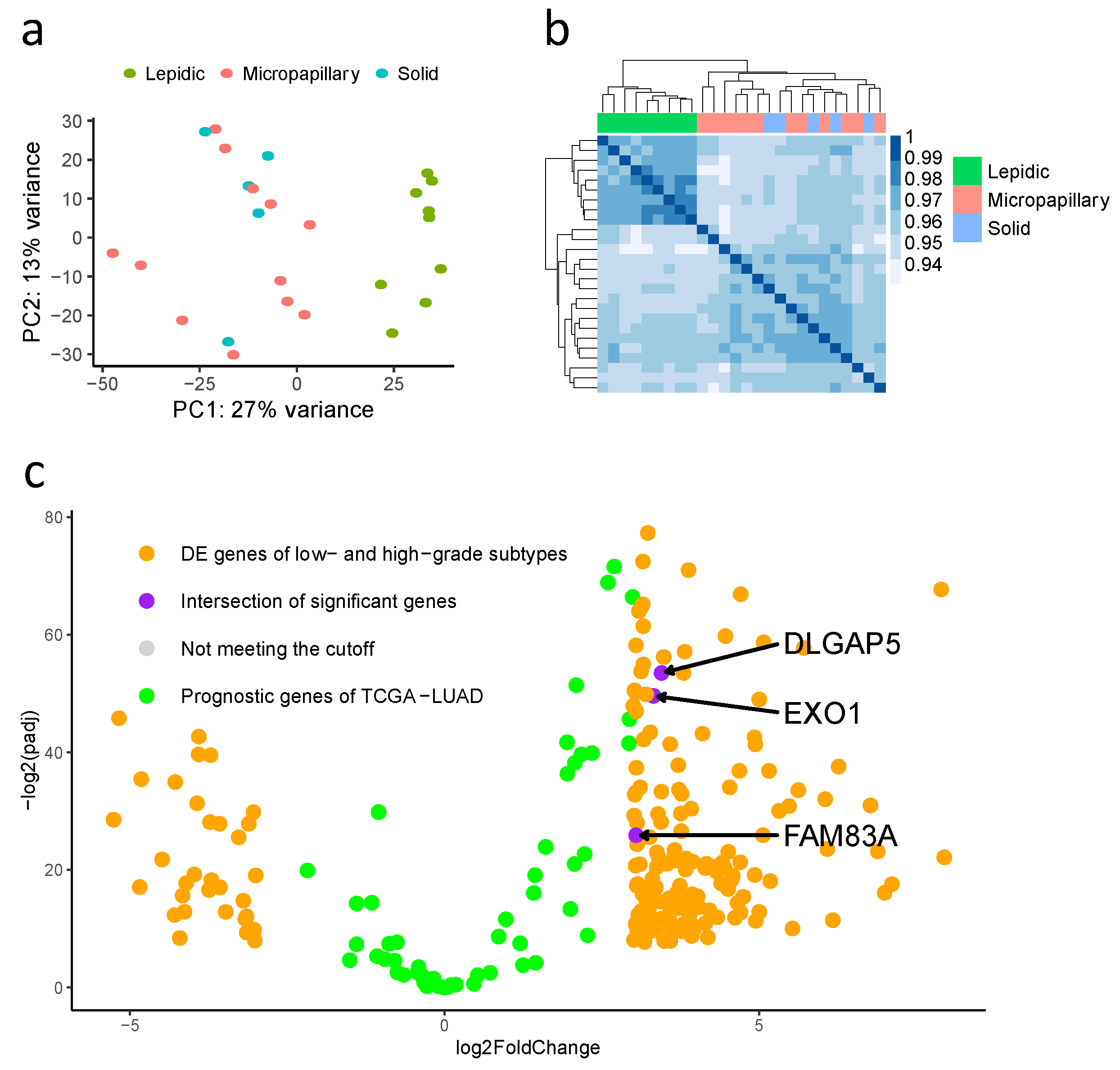 Biomolecules 12 00160 g003