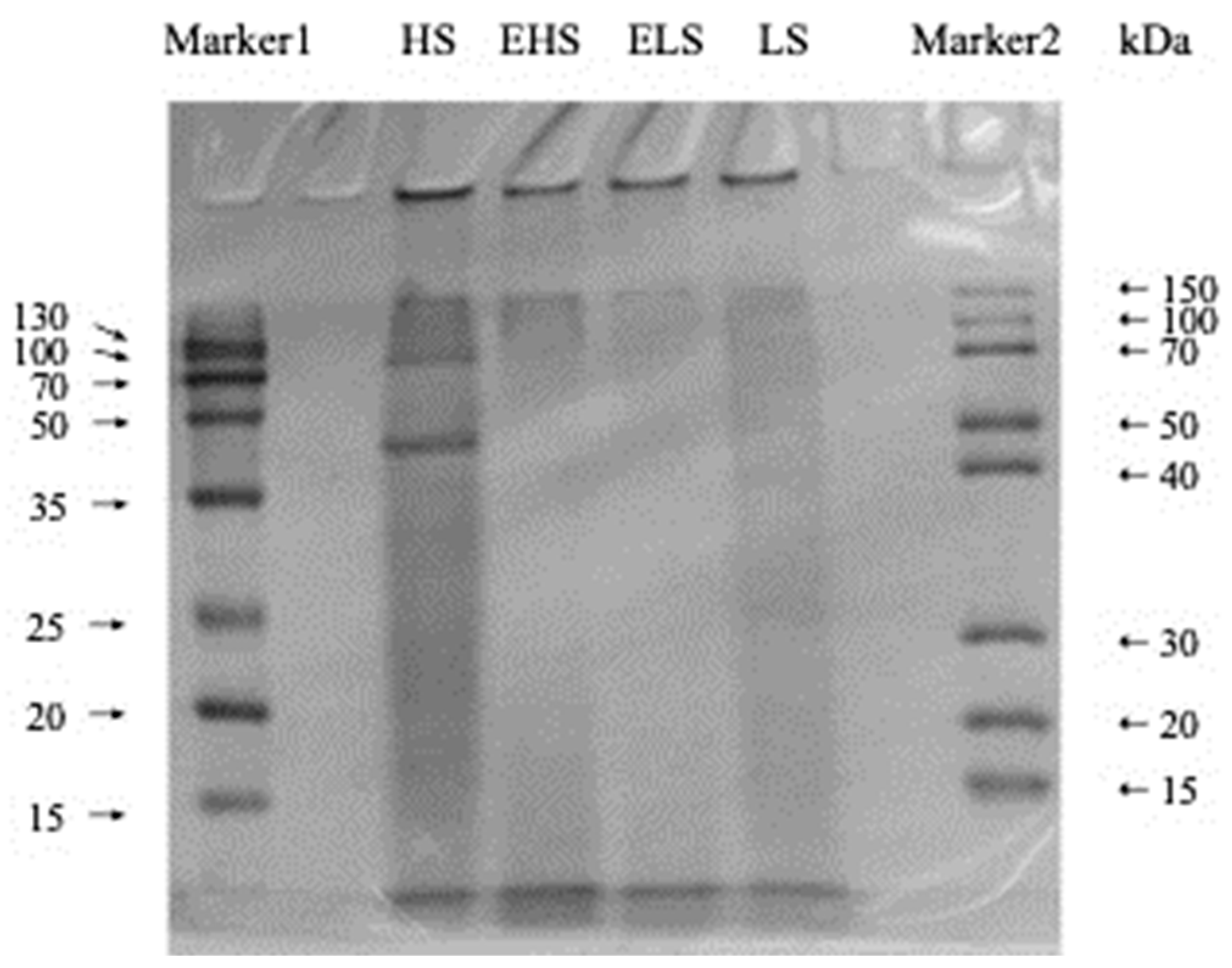 Biomolecules 12 00161 g002 Biomolecules 12 00161 g002