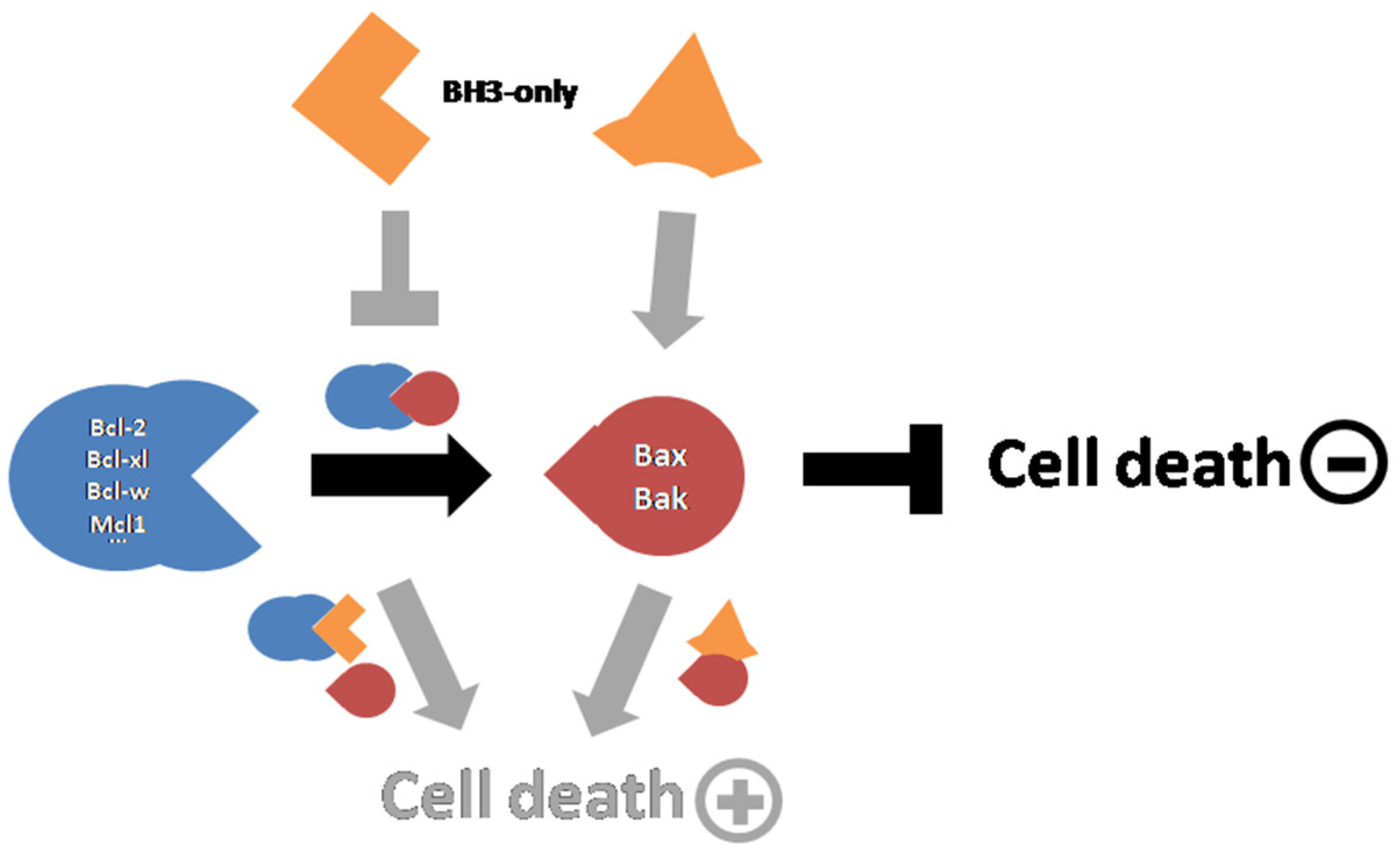 Biomolecules 12 00162 g002