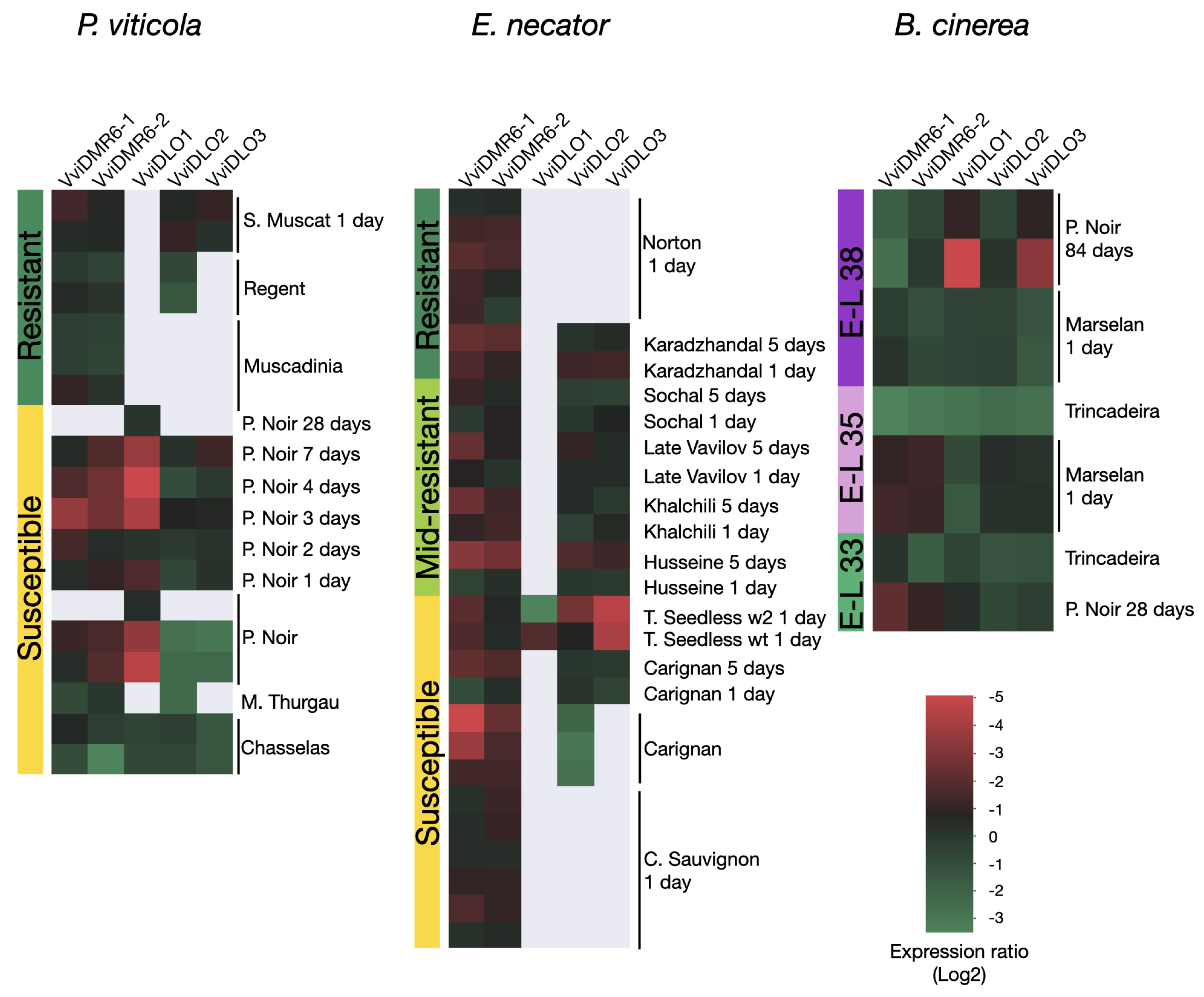 Biomolecules 12 00182 g006