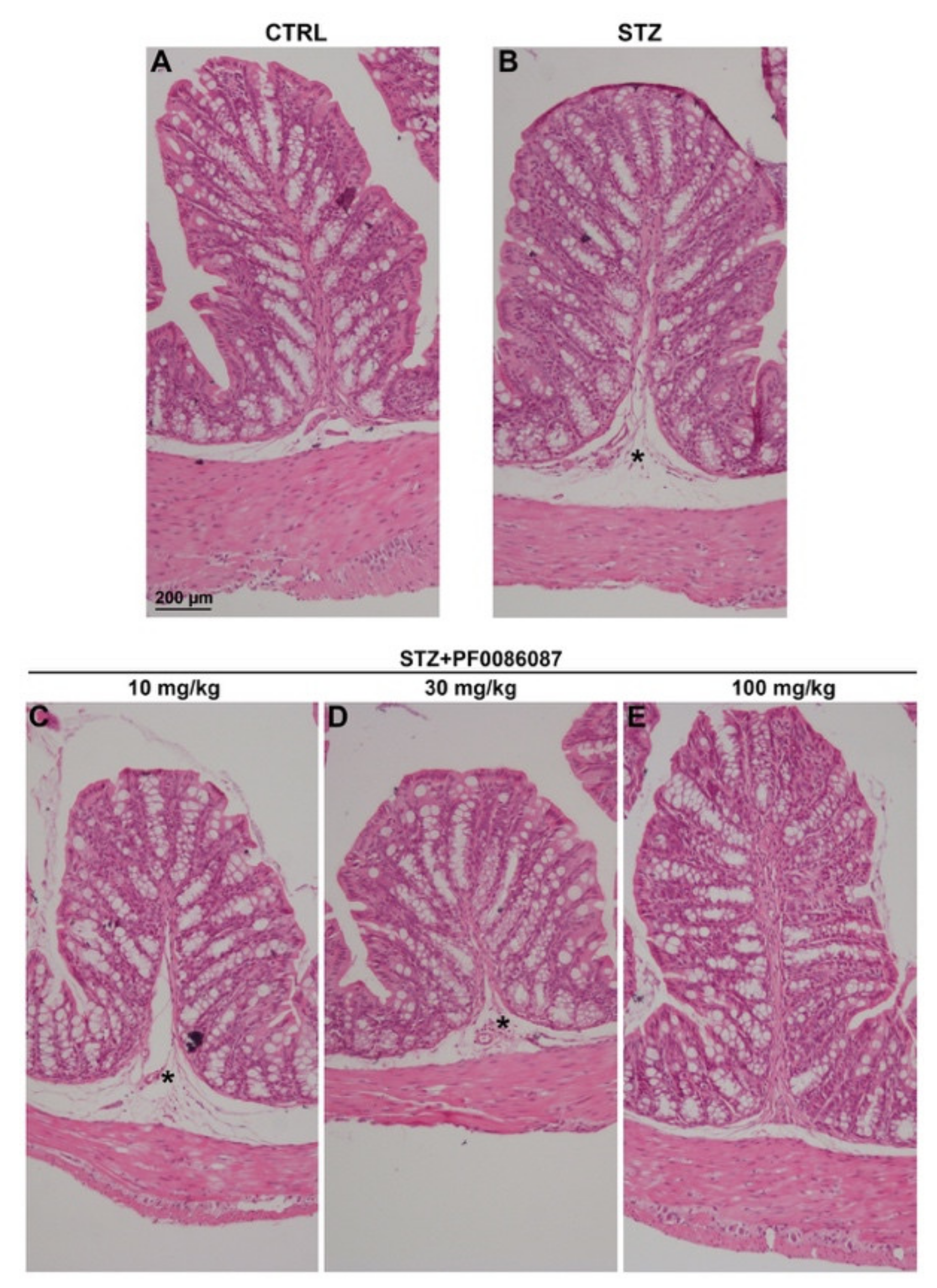 Biomolecules 12 00184 g003 Biomolecules 12 00184 g003