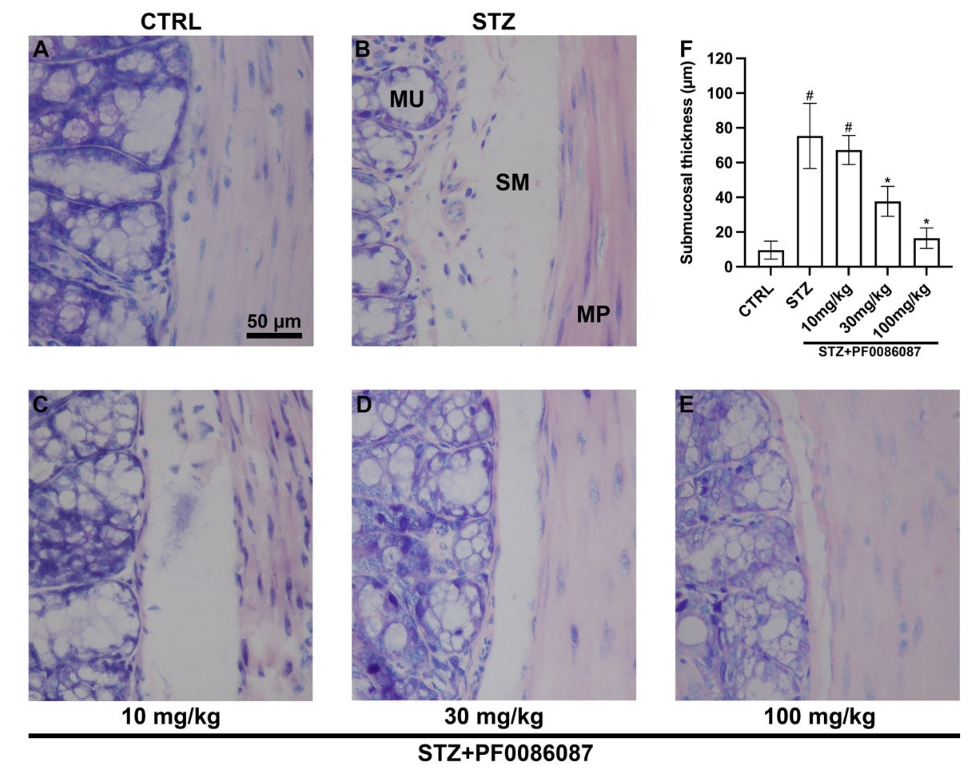 Biomolecules 12 00184 g004 Biomolecules 12 00184 g004