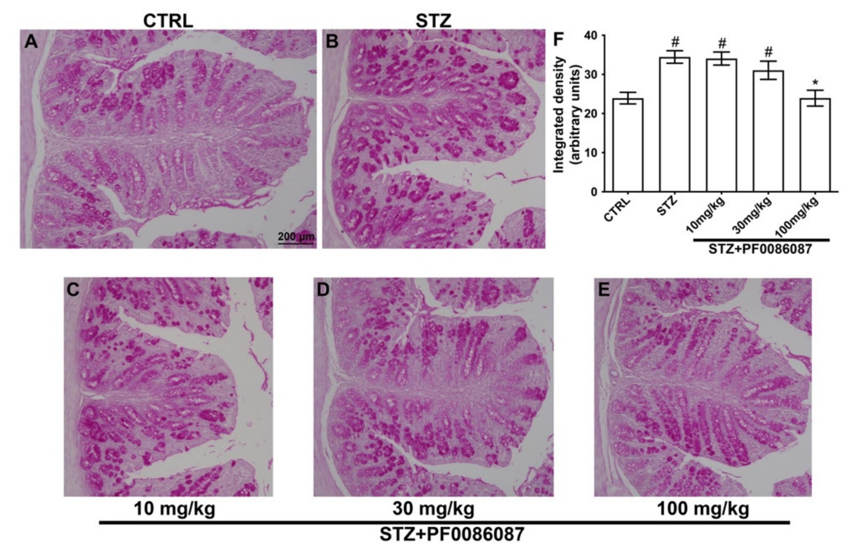 Biomolecules 12 00184 g005 Biomolecules 12 00184 g005