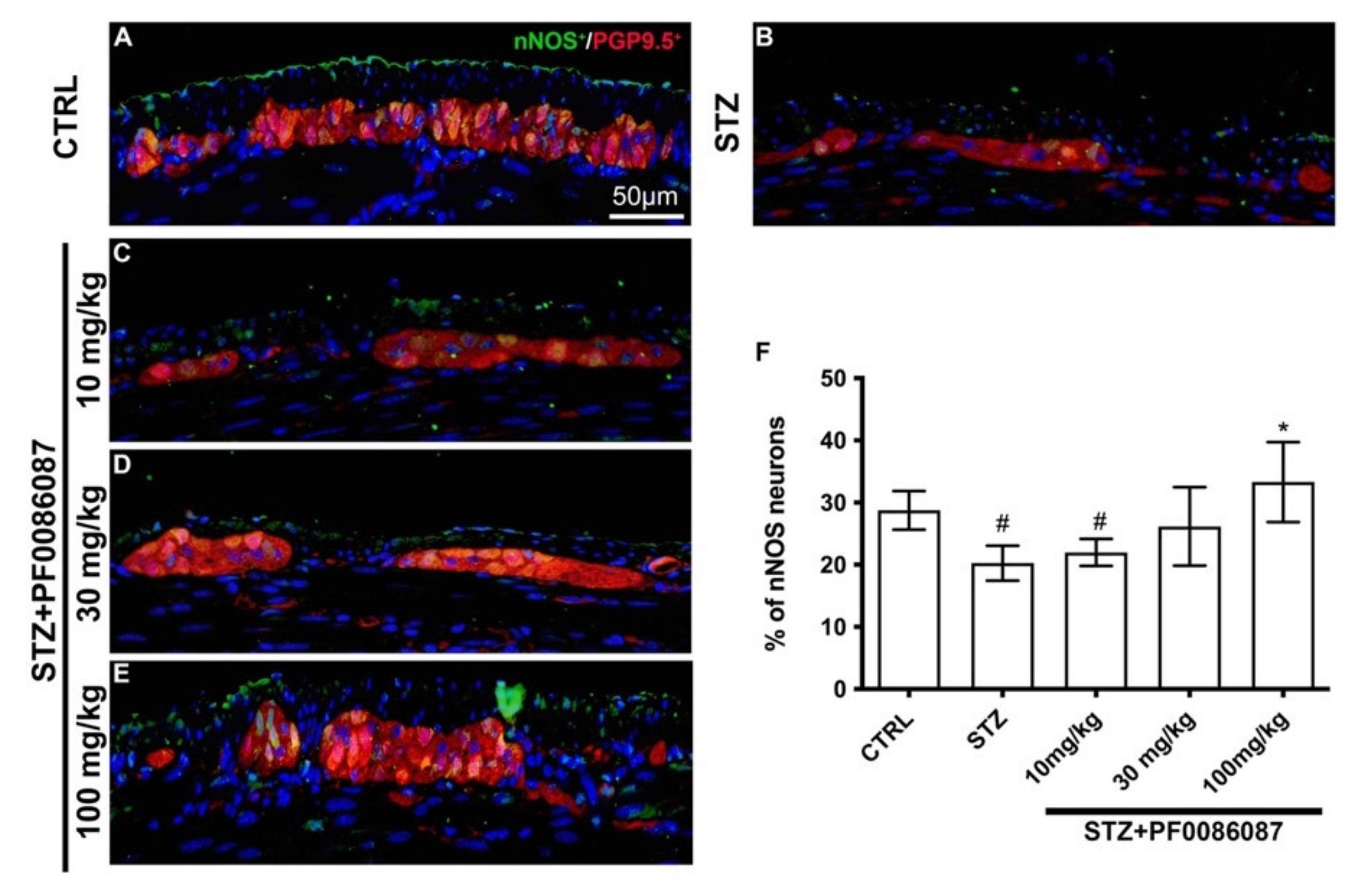 Biomolecules 12 00184 g007 Biomolecules 12 00184 g007