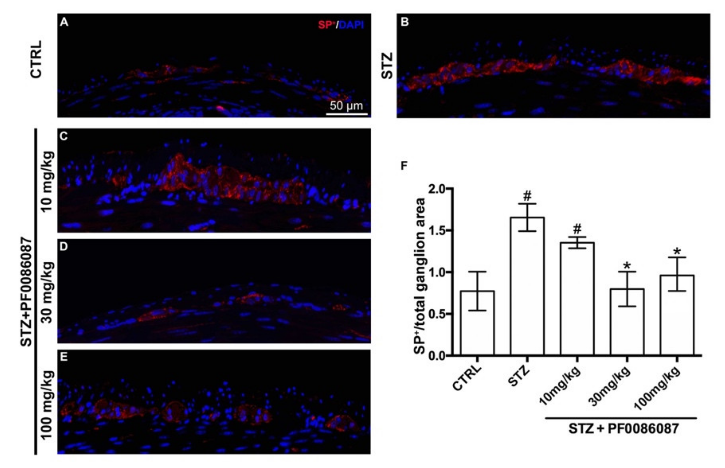 Biomolecules 12 00184 g008 Biomolecules 12 00184 g008