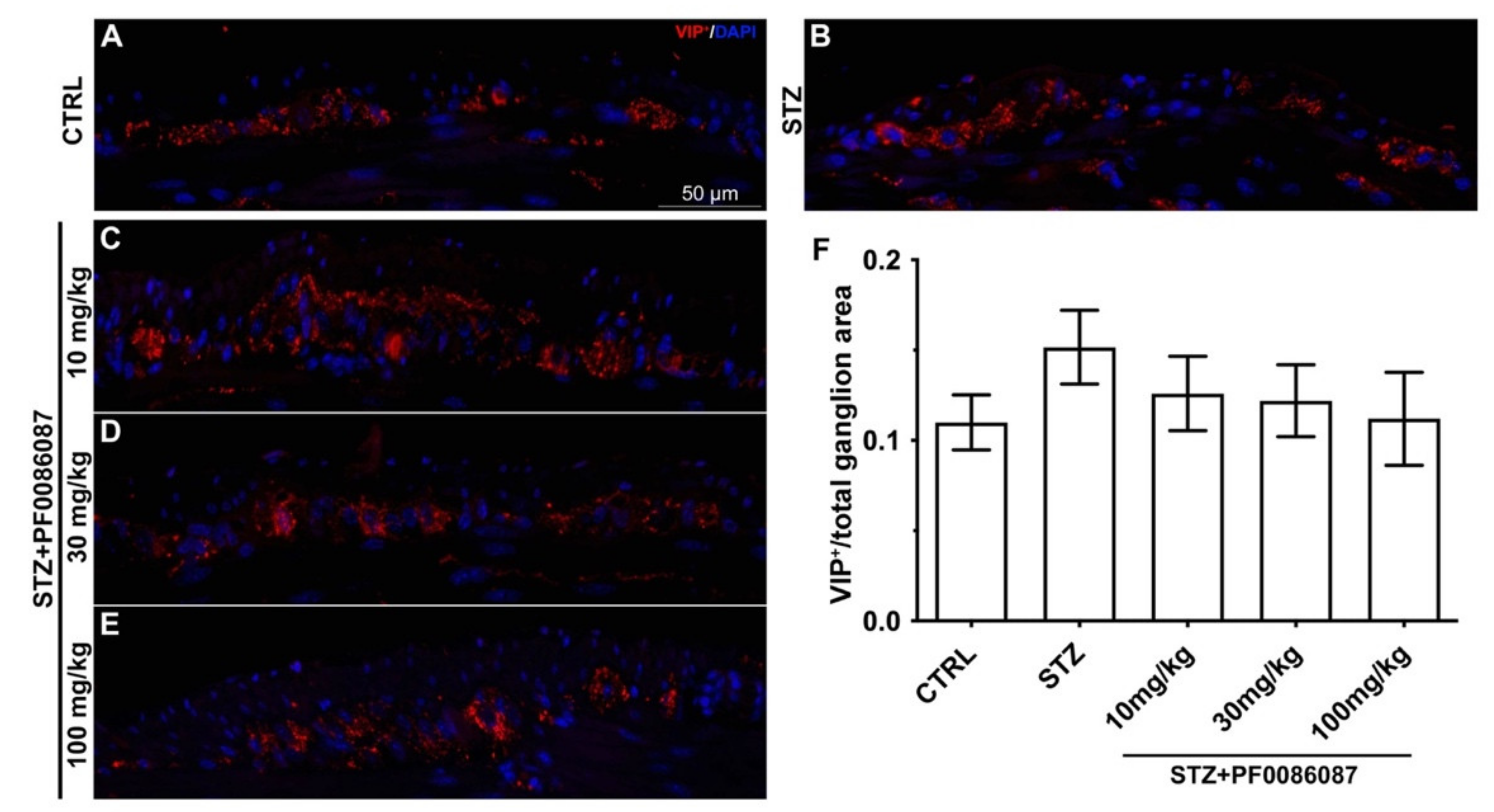 Biomolecules 12 00184 g009 Biomolecules 12 00184 g009