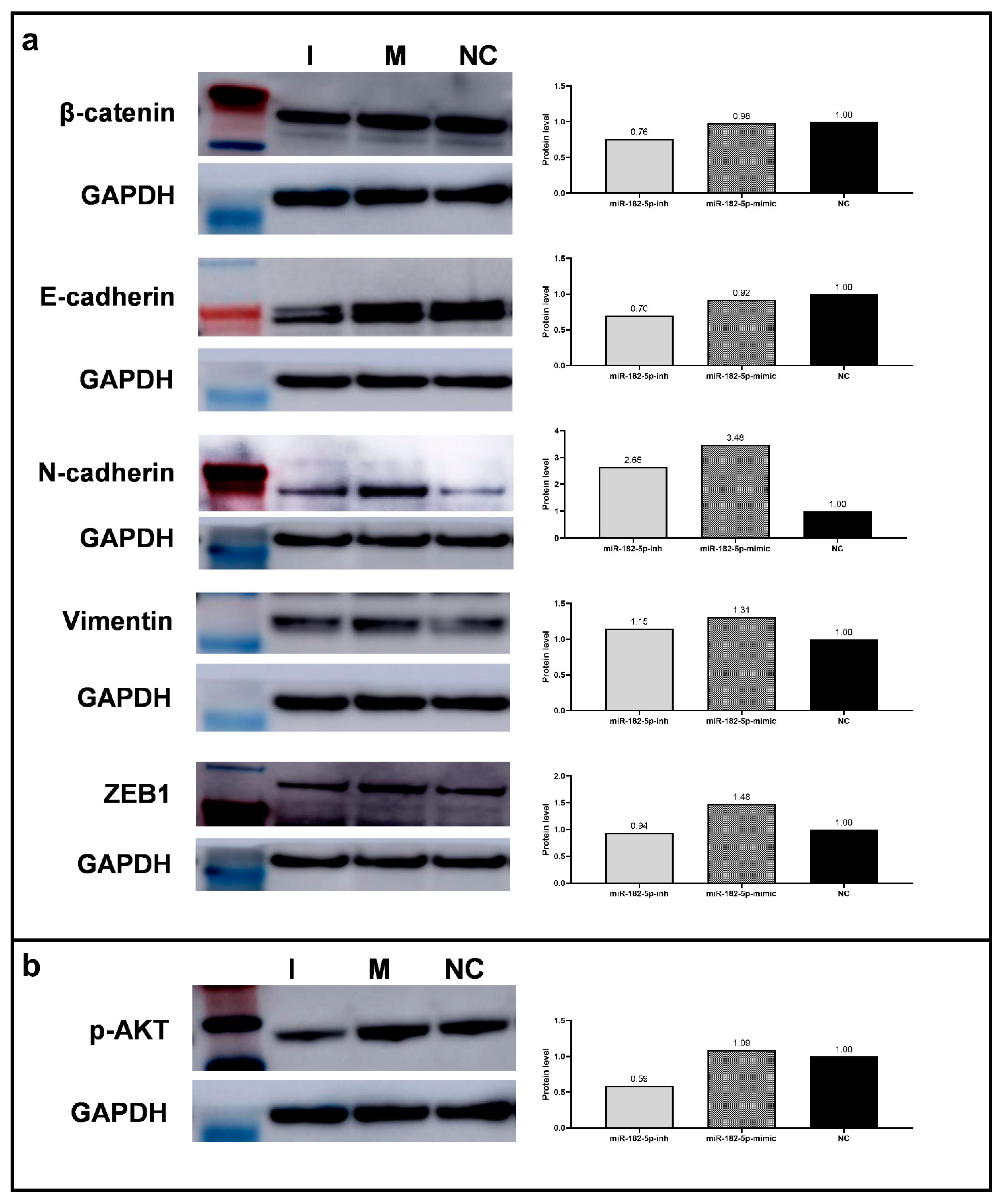 Biomolecules 12 00187 g005