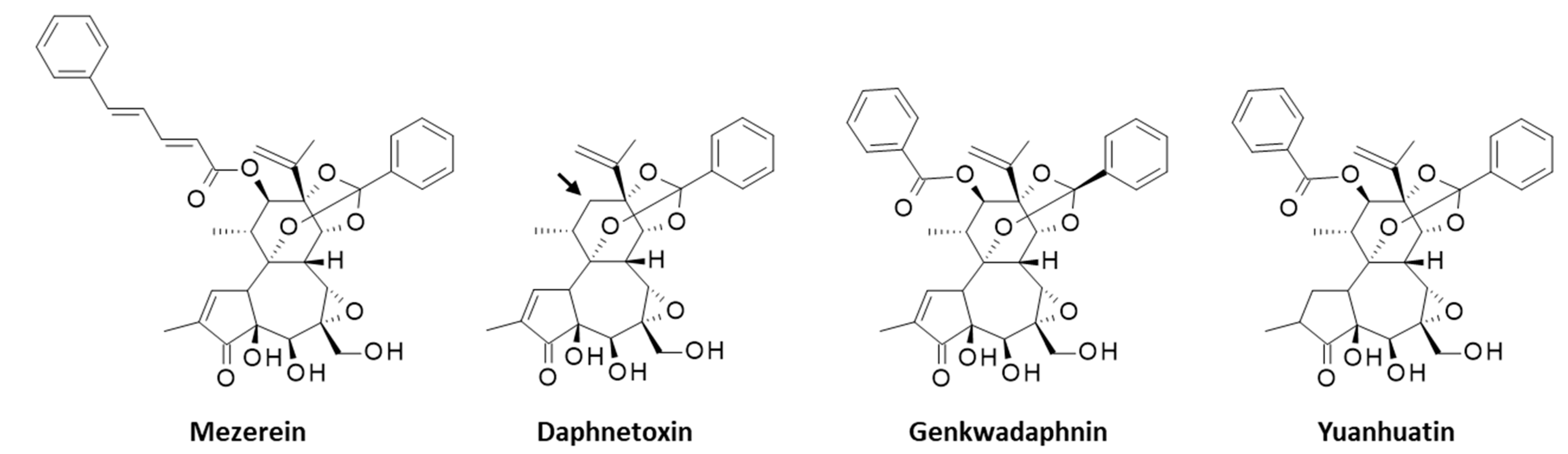 Biomolecules 12 00192 g004 Biomolecules 12 00192 g004