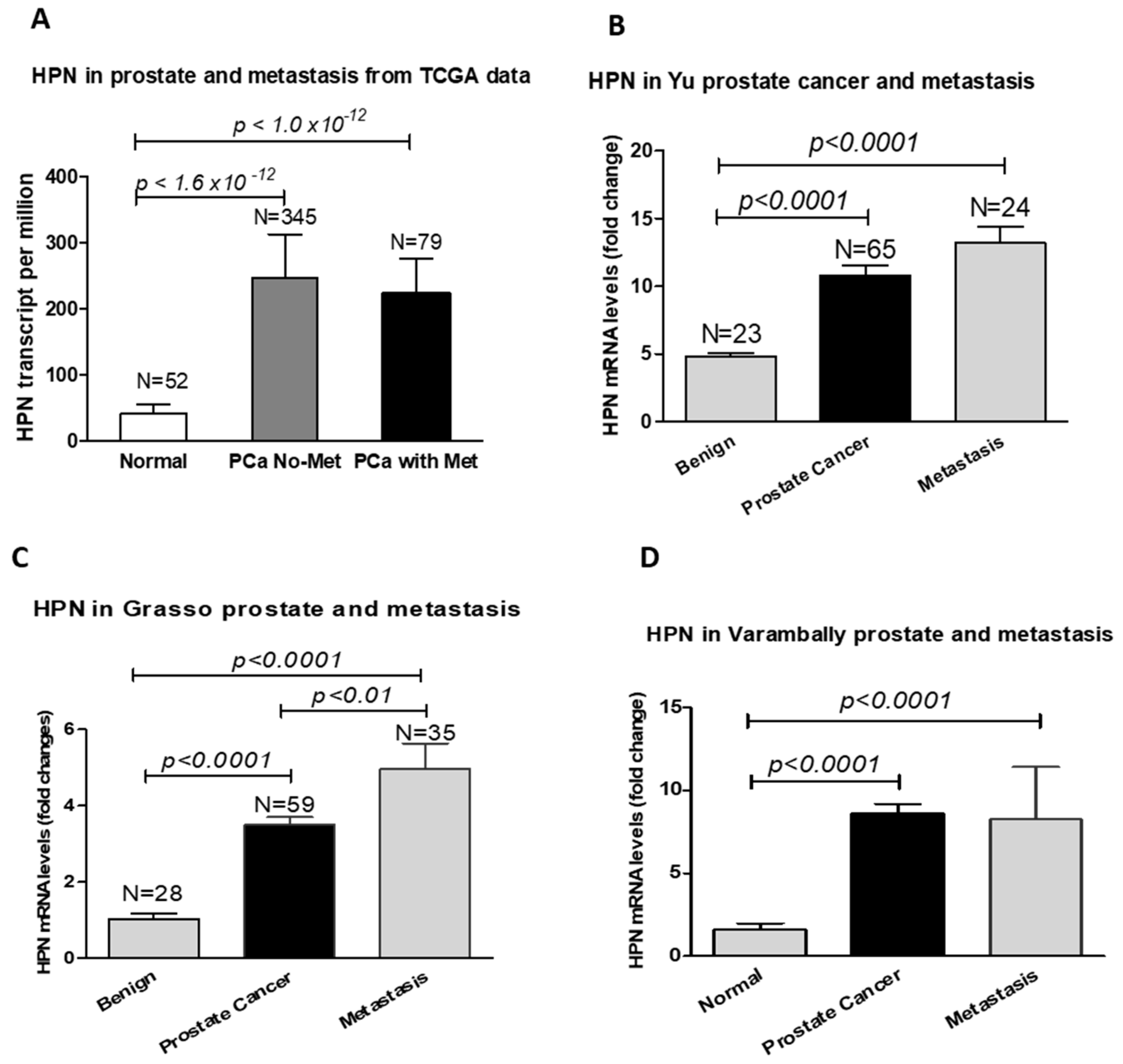Biomolecules 12 00203 g002 Biomolecules 12 00203 g002