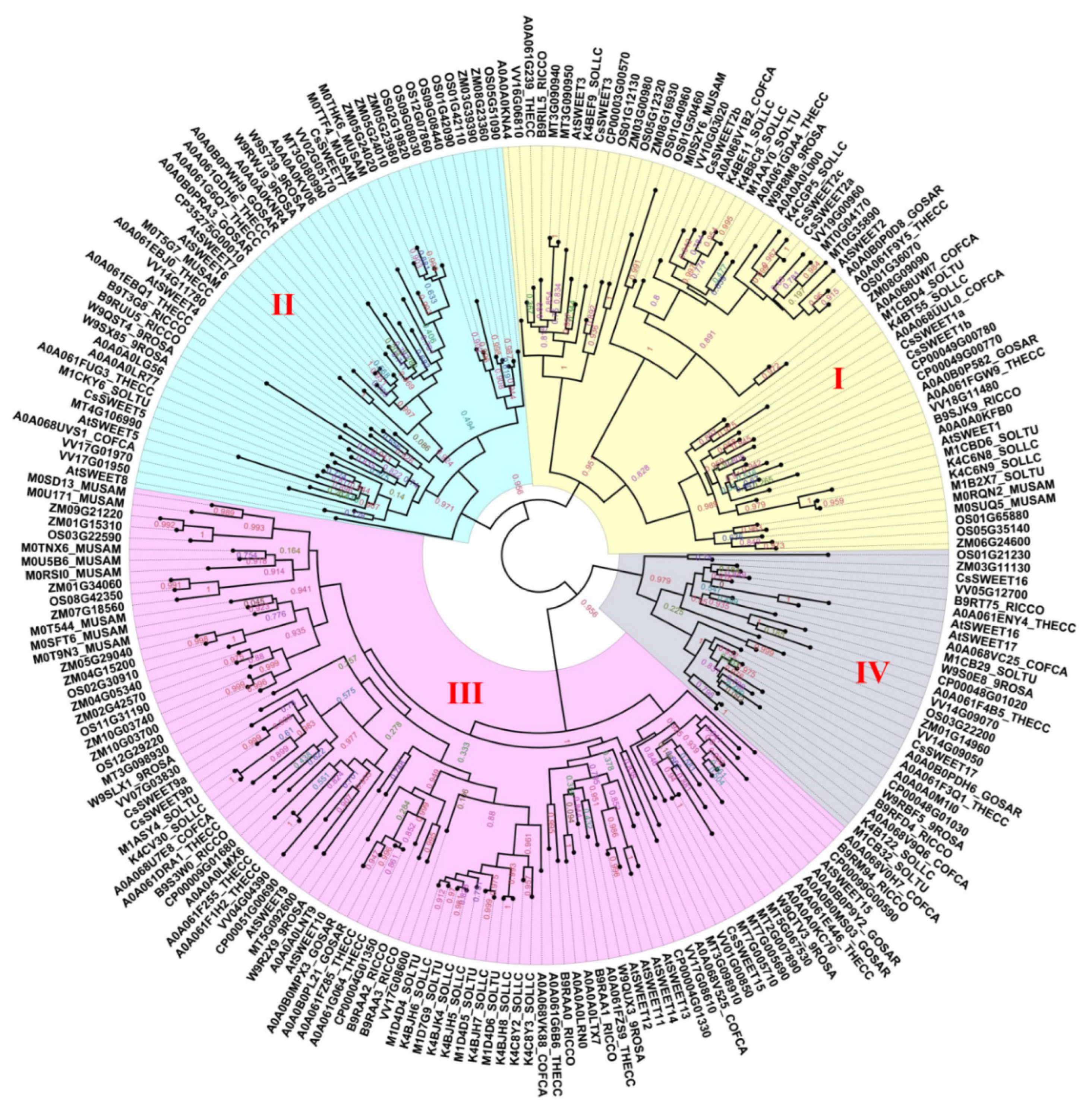Biomolecules 12 00205 g002