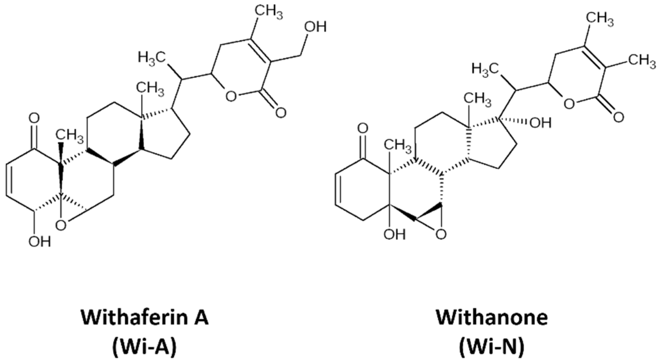 Biomolecules 12 00212 g001 Biomolecules 12 00212 g001