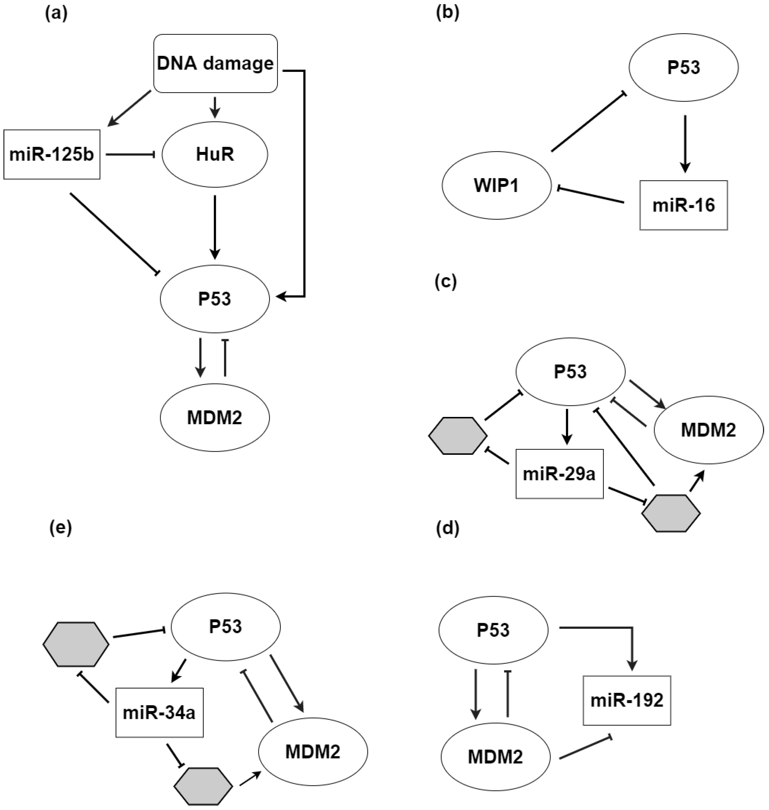 Biomolecules 12 00213 g004