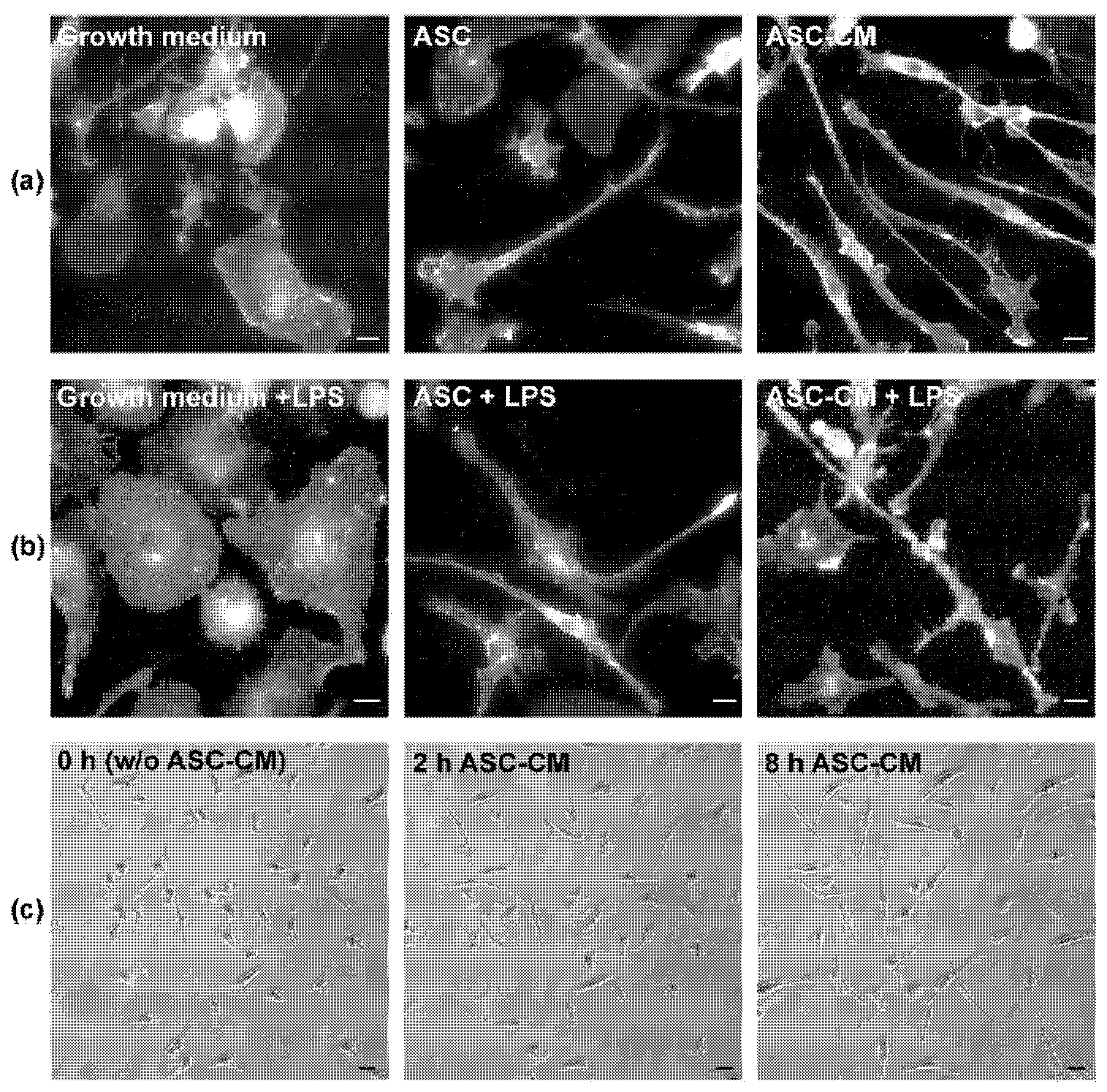 Biomolecules 12 00219 g002