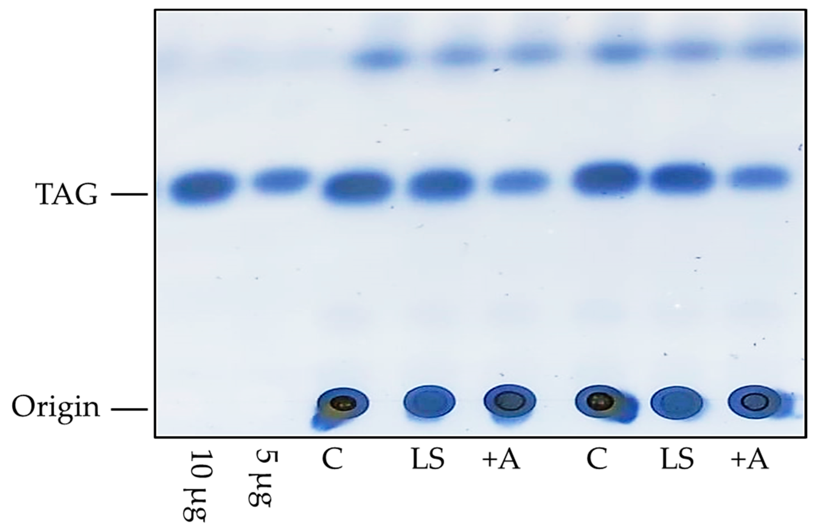 Biomolecules 12 00221 g002 Biomolecules 12 00221 g002