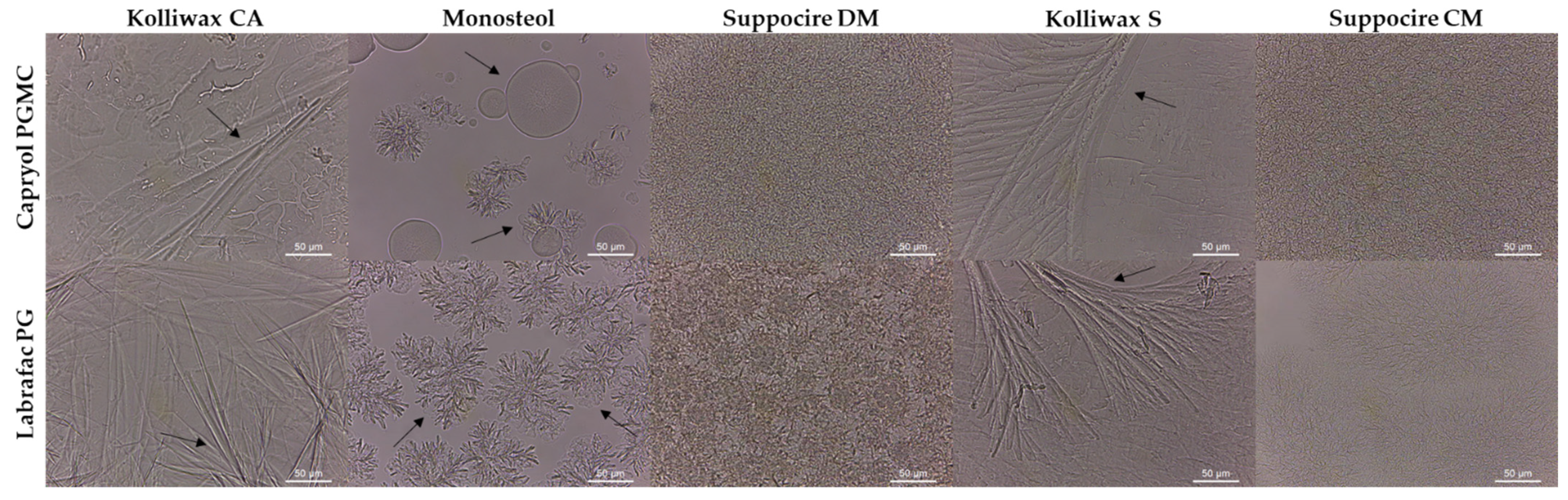 Biomolecules 12 00223 g004