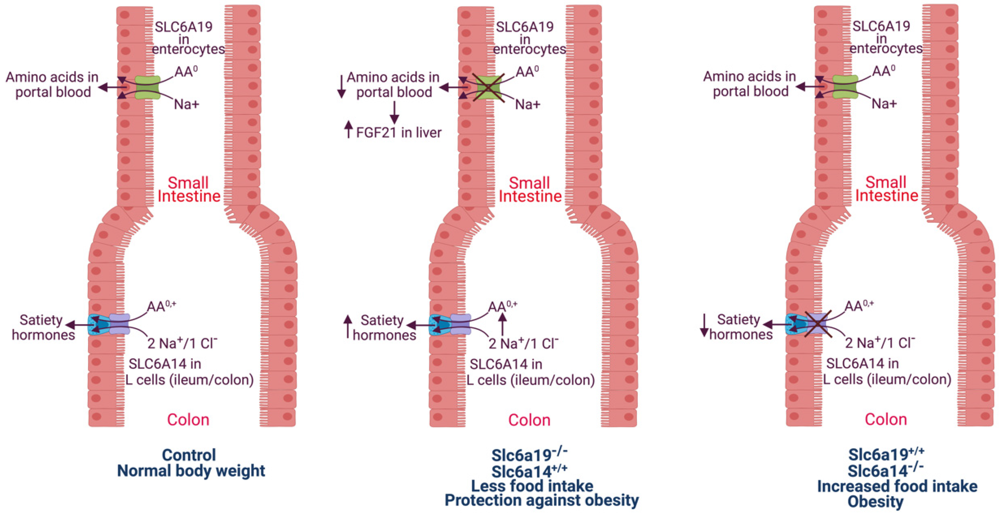Biomolecules 12 00235 g002