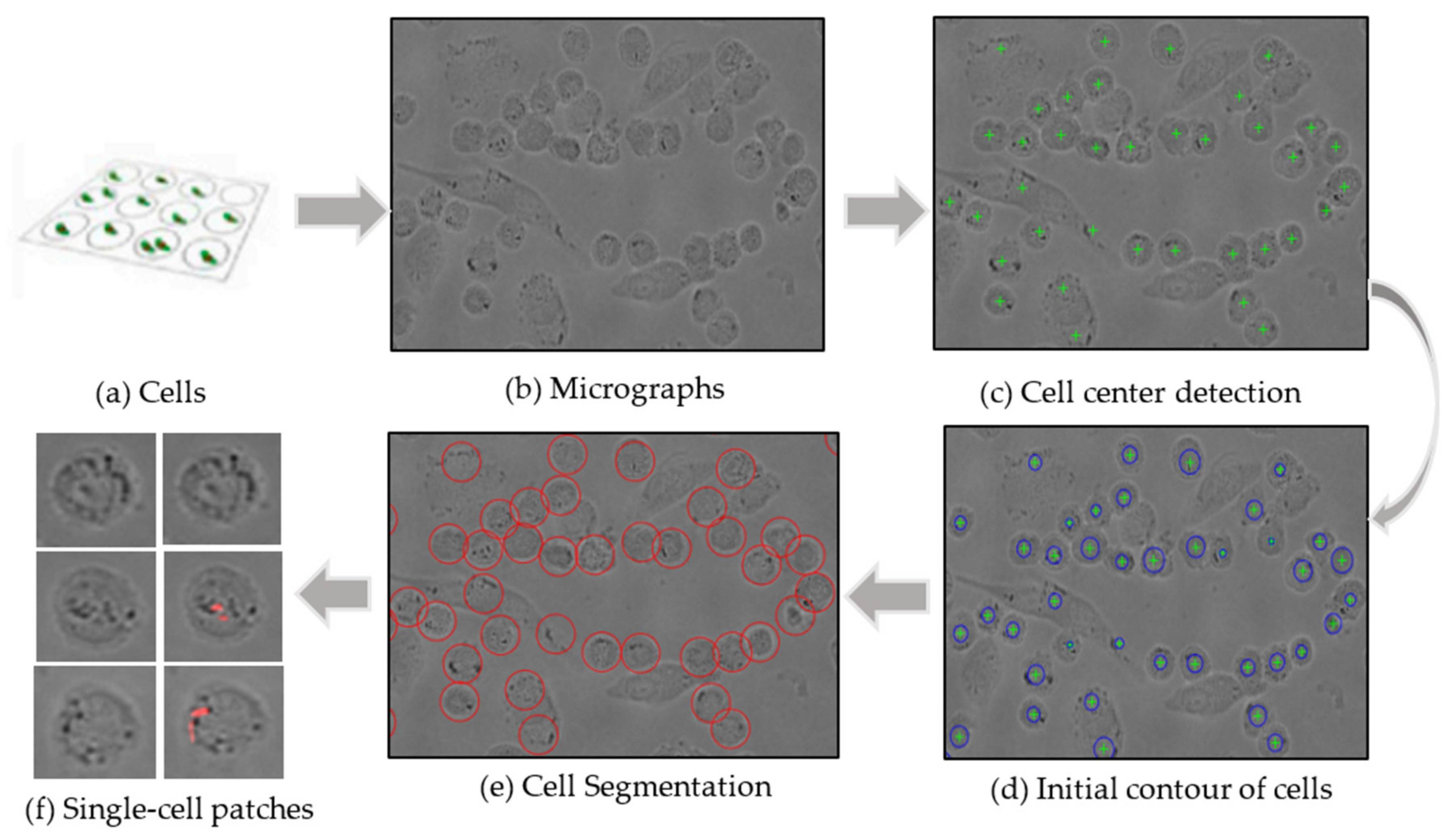 Biomolecules 12 00240 g003