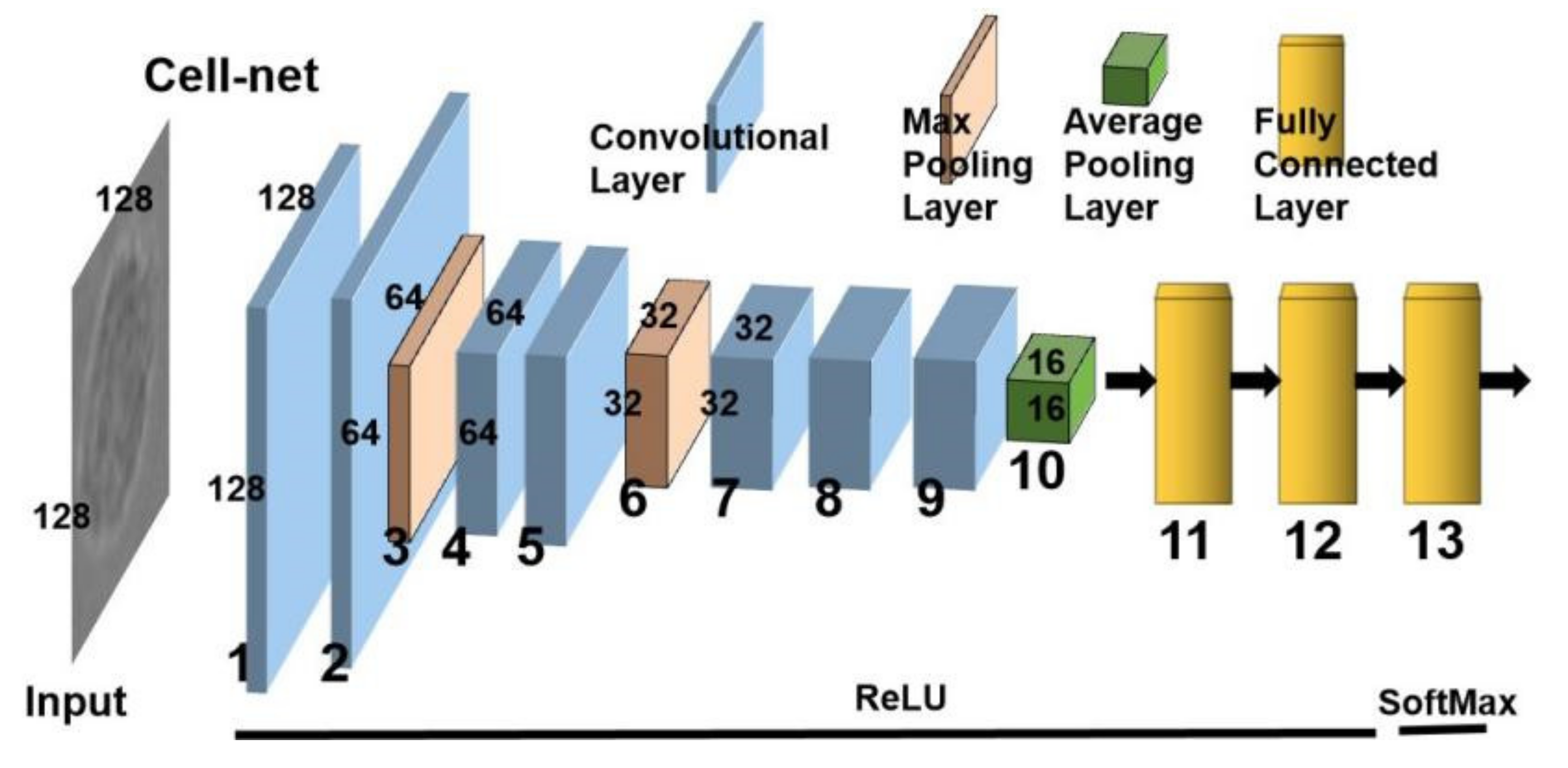 Biomolecules 12 00240 g004