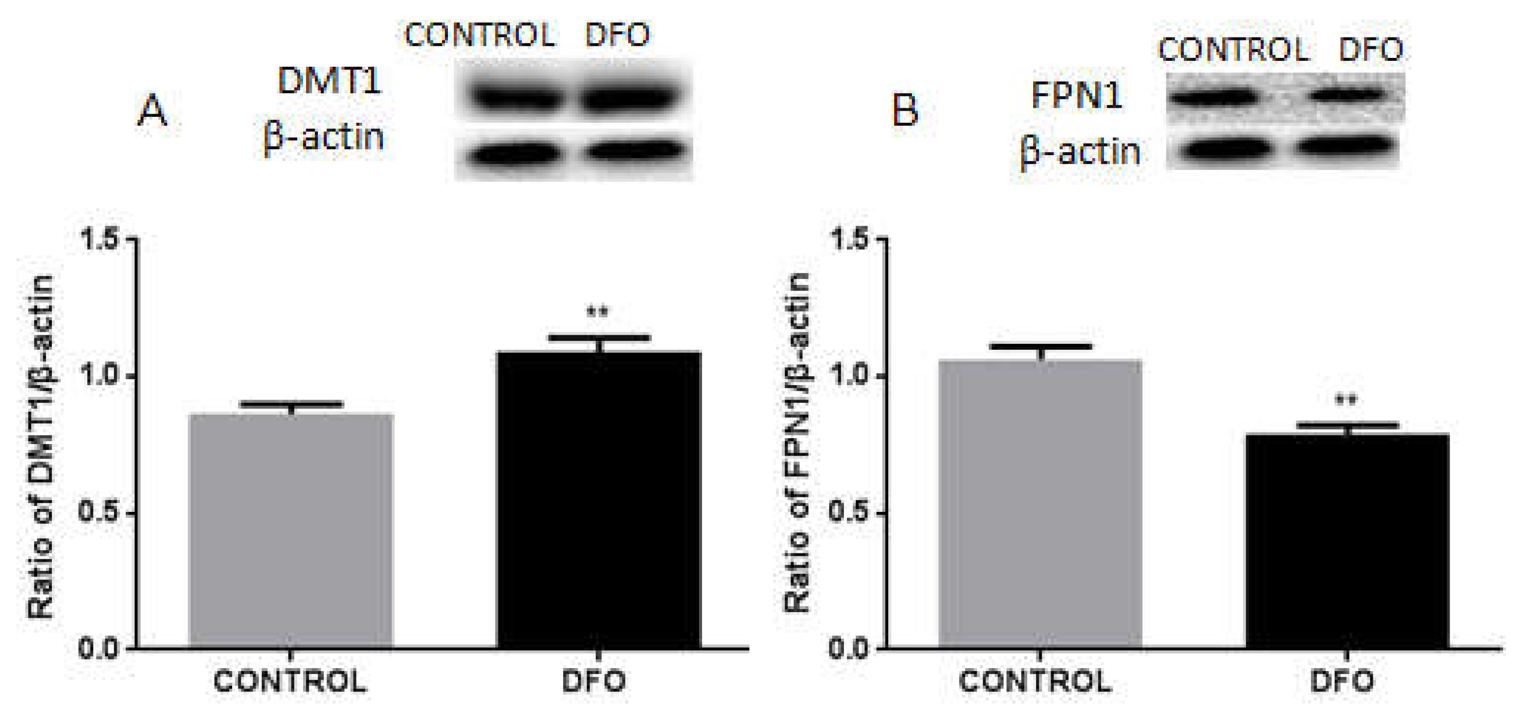 Biomolecules 12 00266 g008