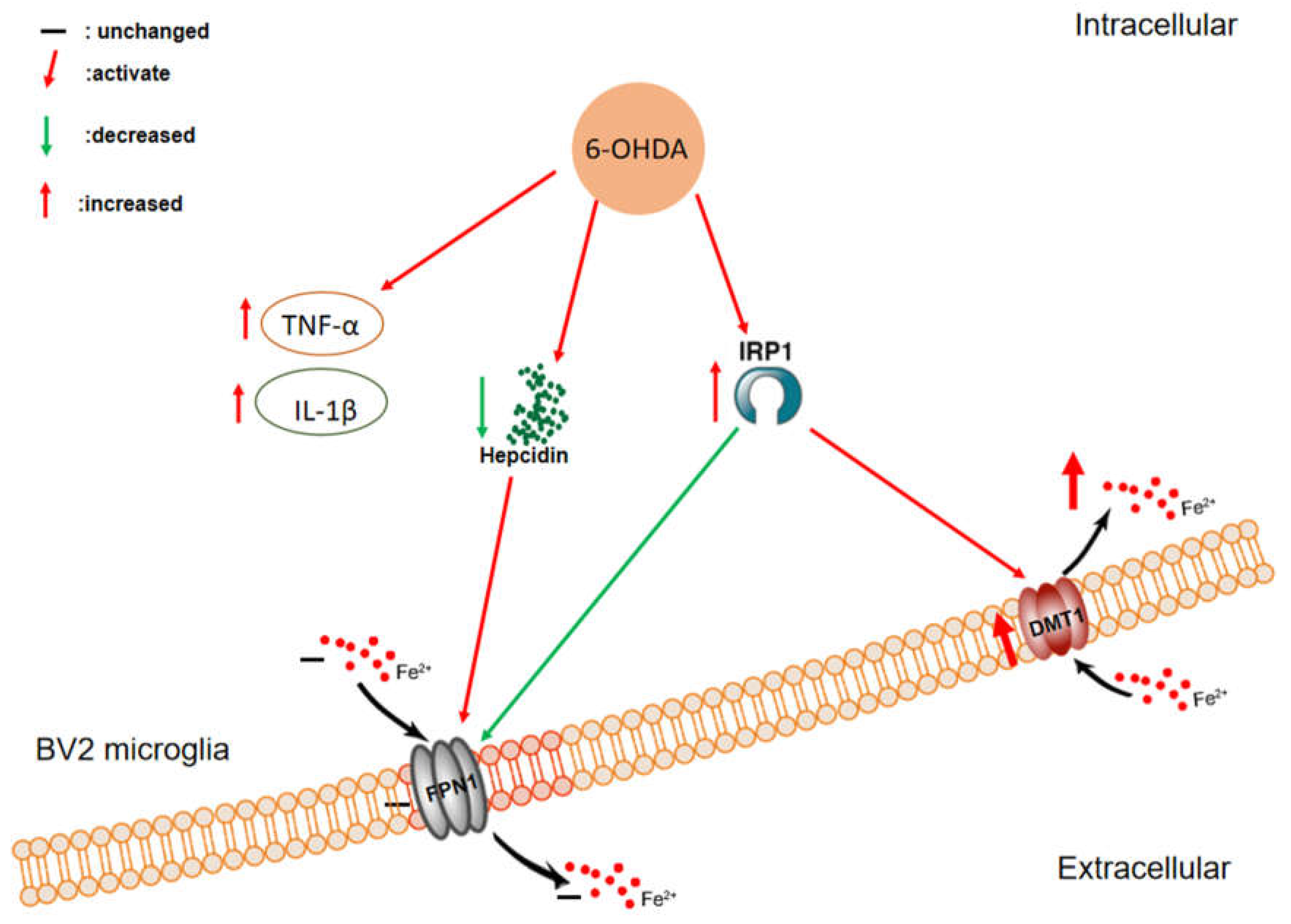 Biomolecules 12 00266 g010