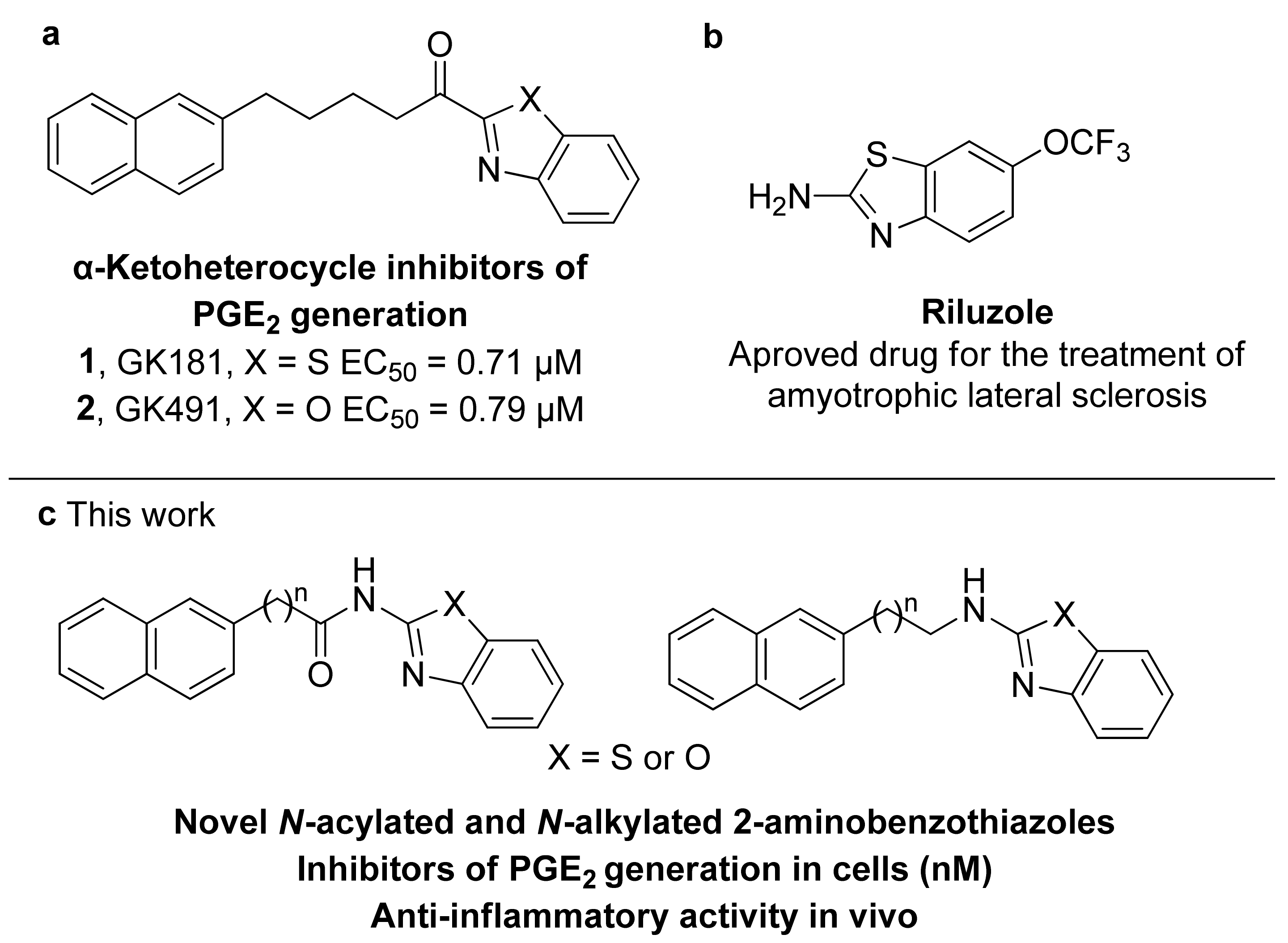 Biomolecules 12 00267 g001