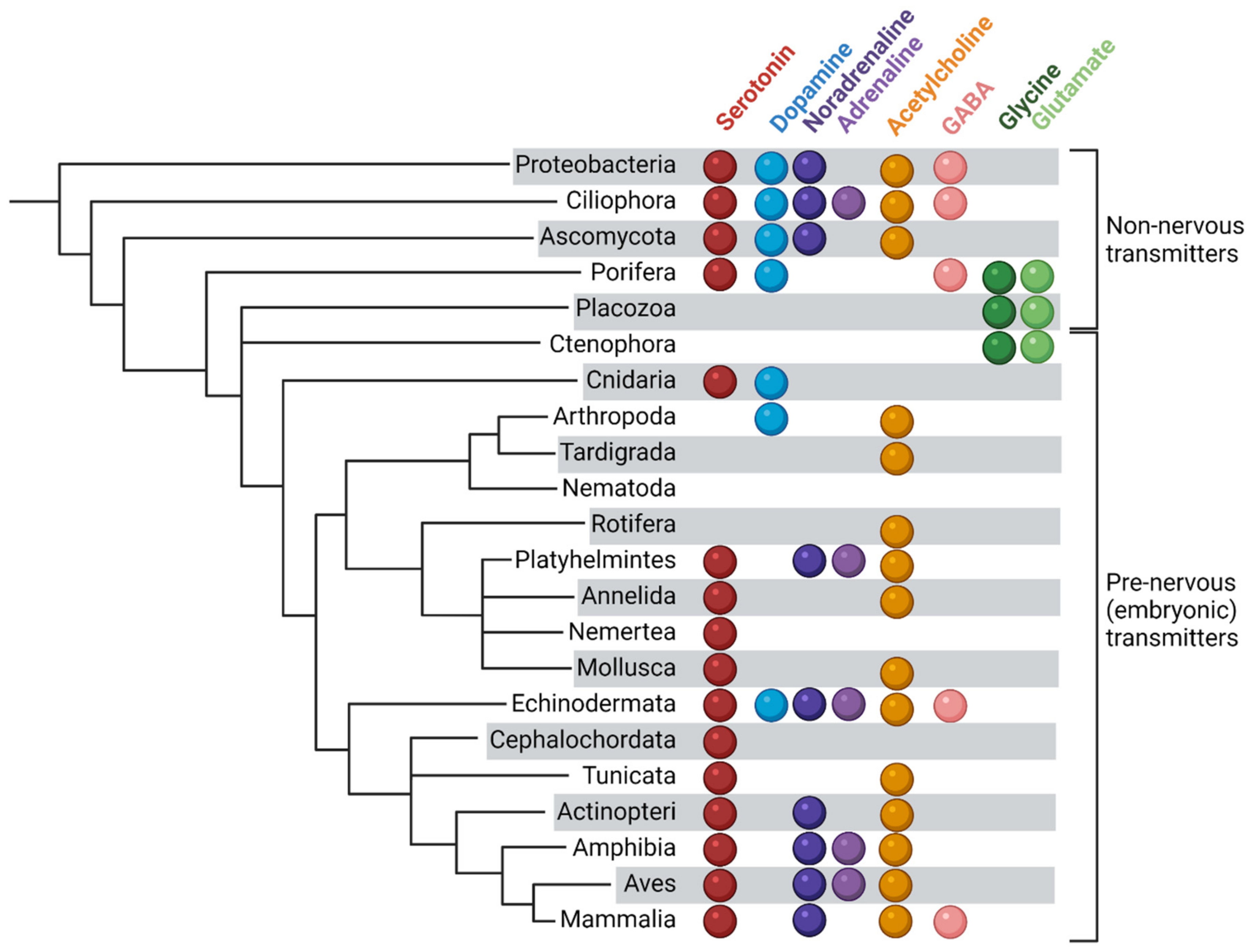 Biomolecules 12 00271 g001