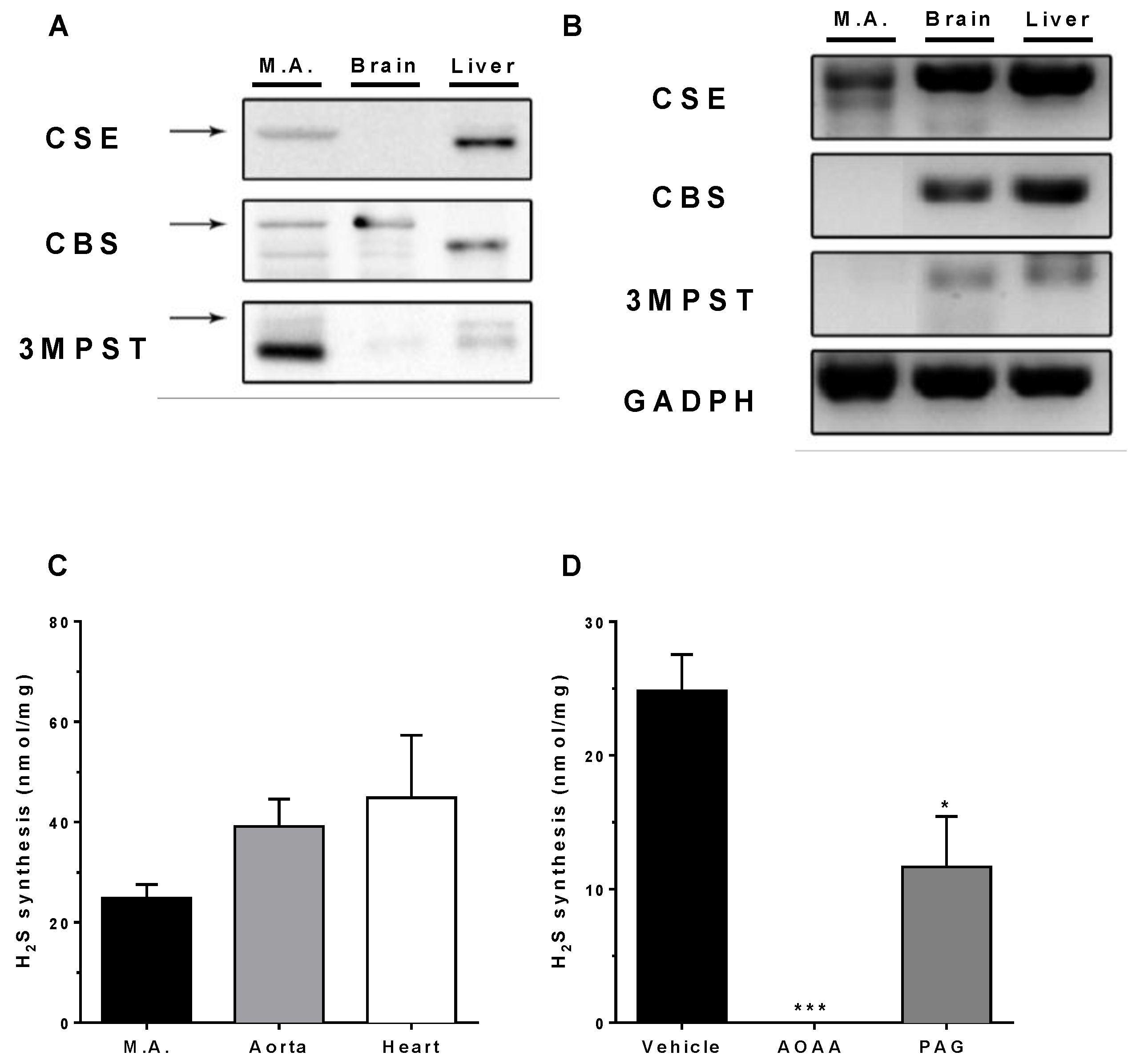 Biomolecules 12 00280 g001 Biomolecules 12 00280 g001