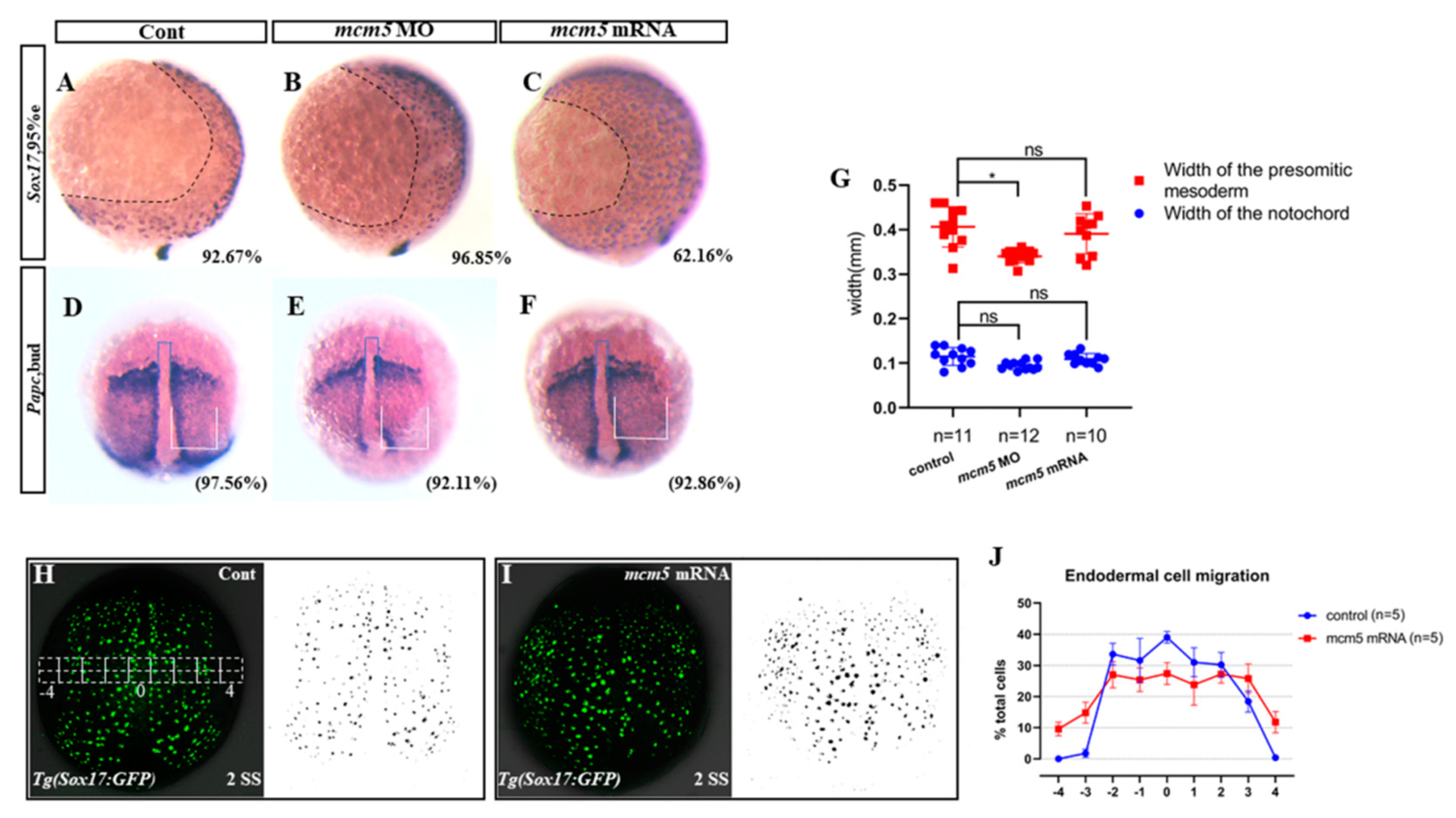 Biomolecules 12 00286 g002