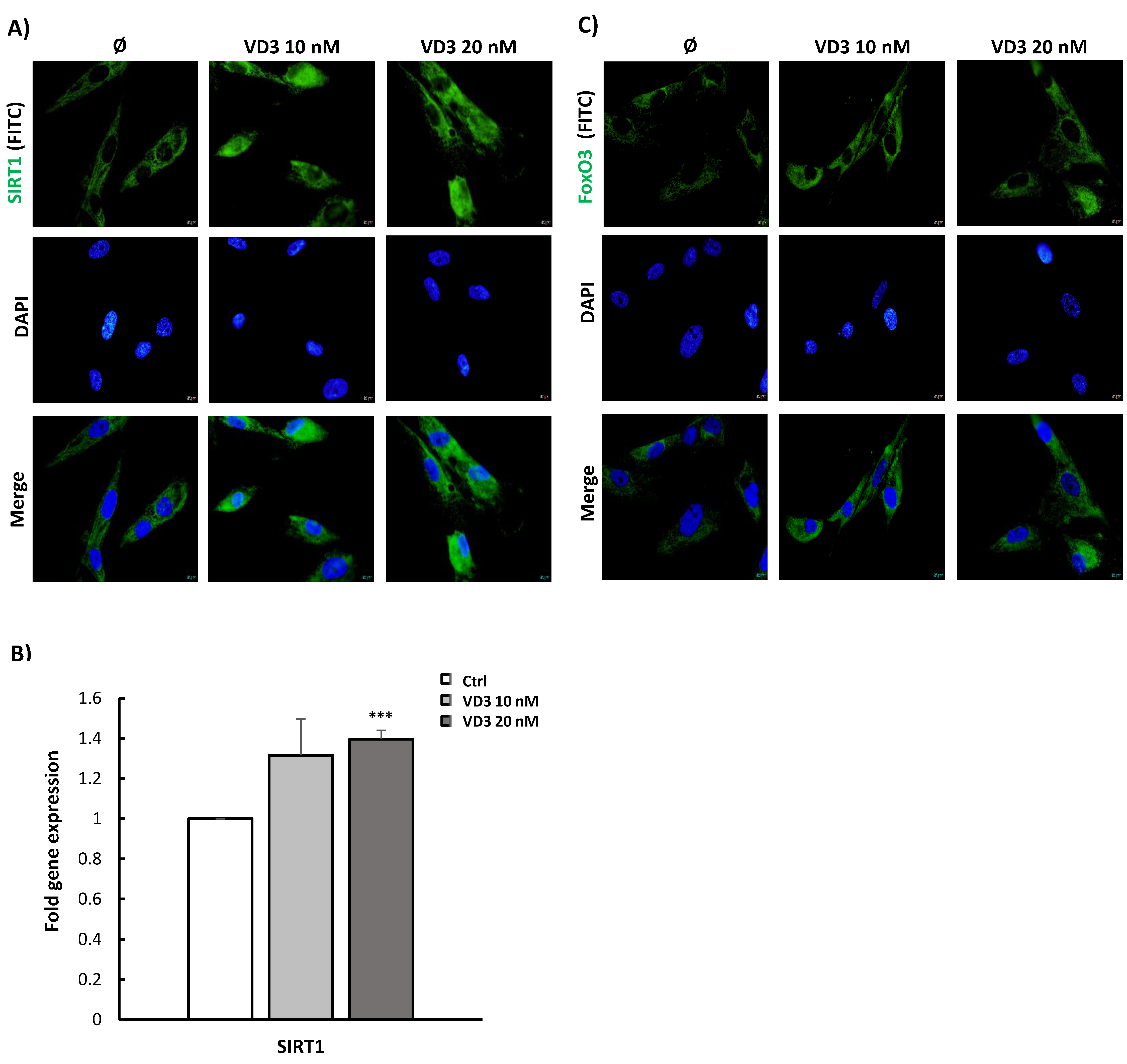 Biomolecules 12 00323 g003